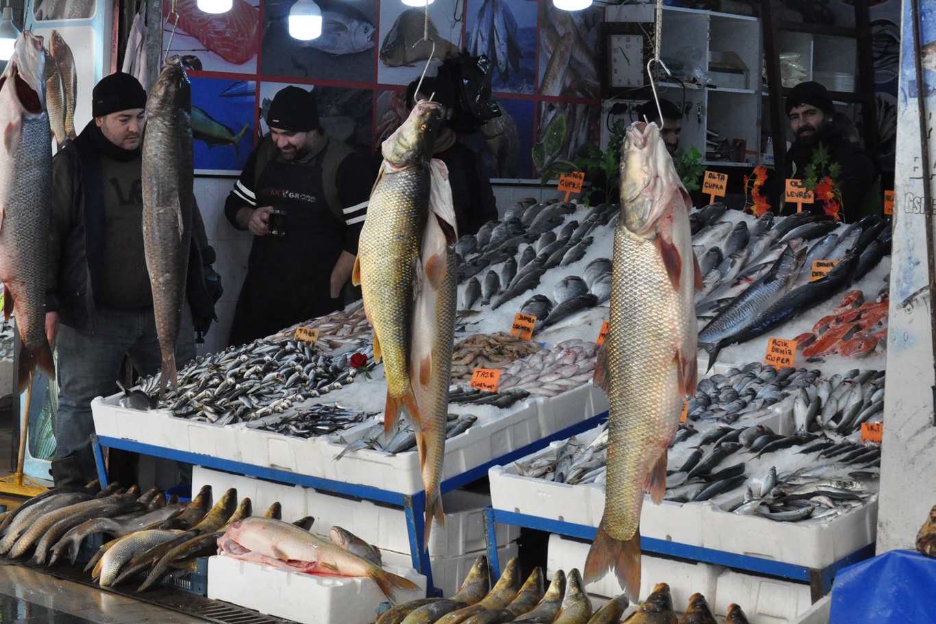 Yeni Yılda Balık Fiyatları Vatandaşı Sevindirdi