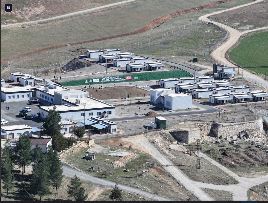 10 Gün Içinde Sokak Köpekleri Toplanacak (1)