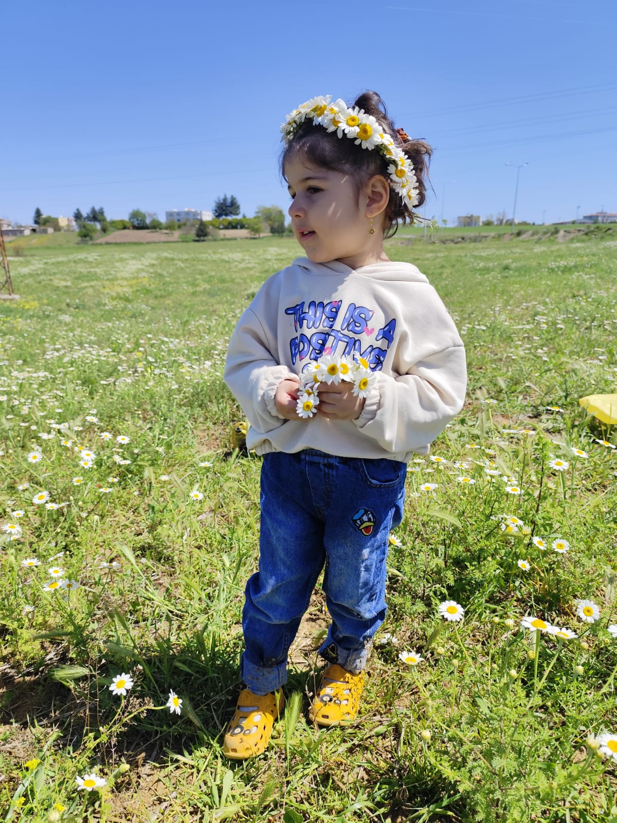 39C2Fc9A 29E8 41F3 9294 3D84136B8438