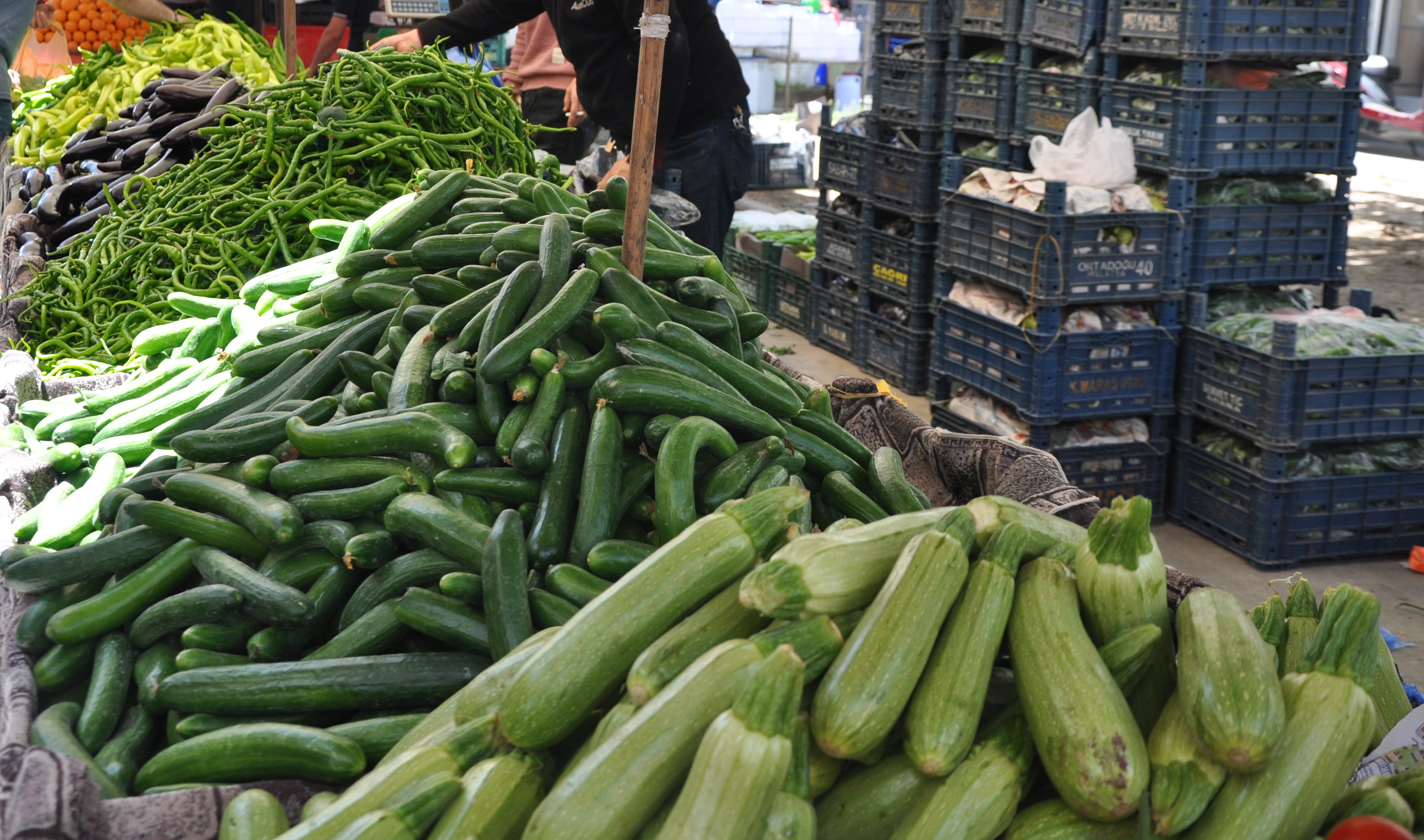 Batman’da Üretim Arttı Salatalık Fiyatları Düştü!1