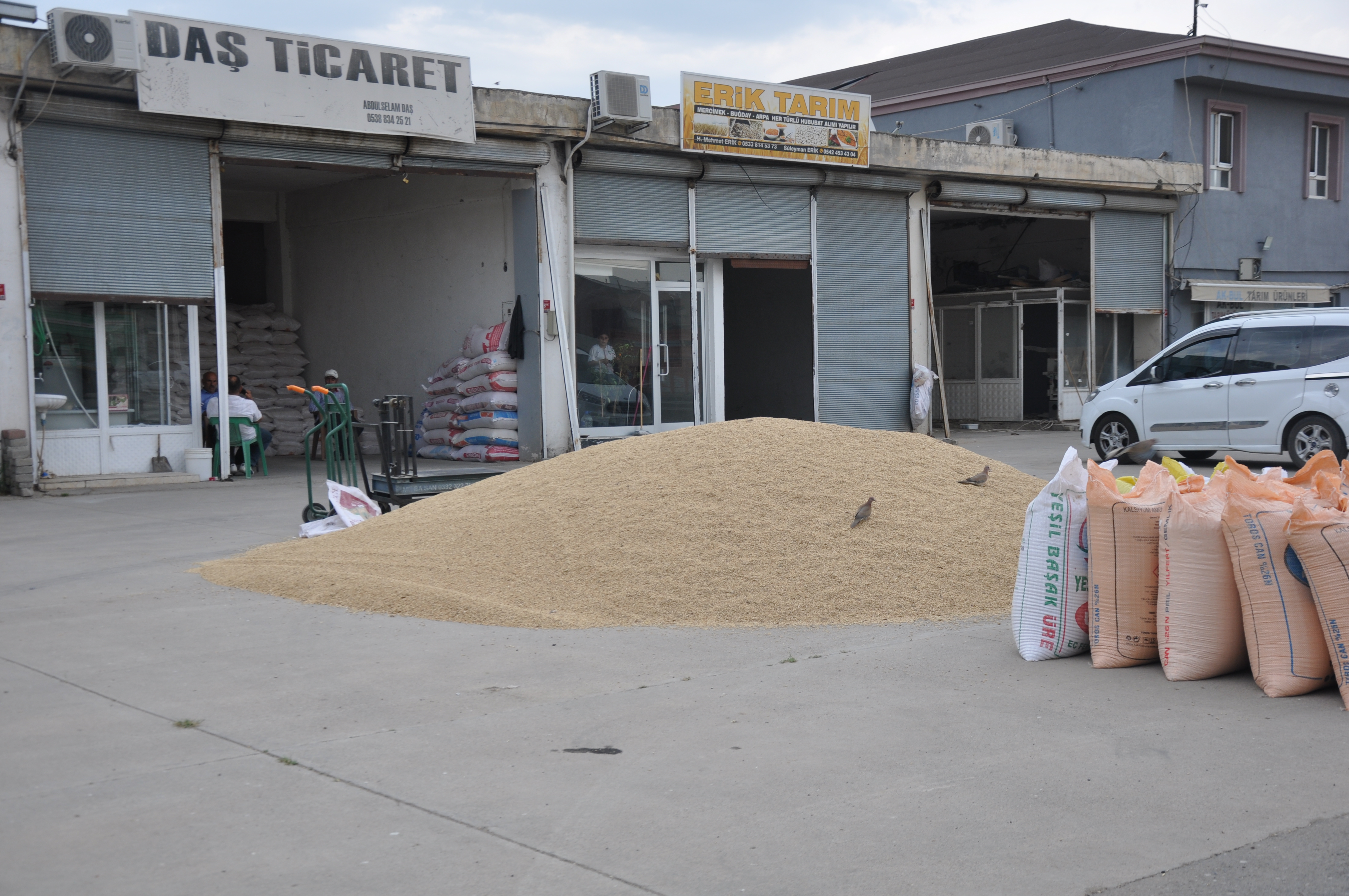 Batman'ı zahireciler Bu sene buğdayın yarısı yok!1