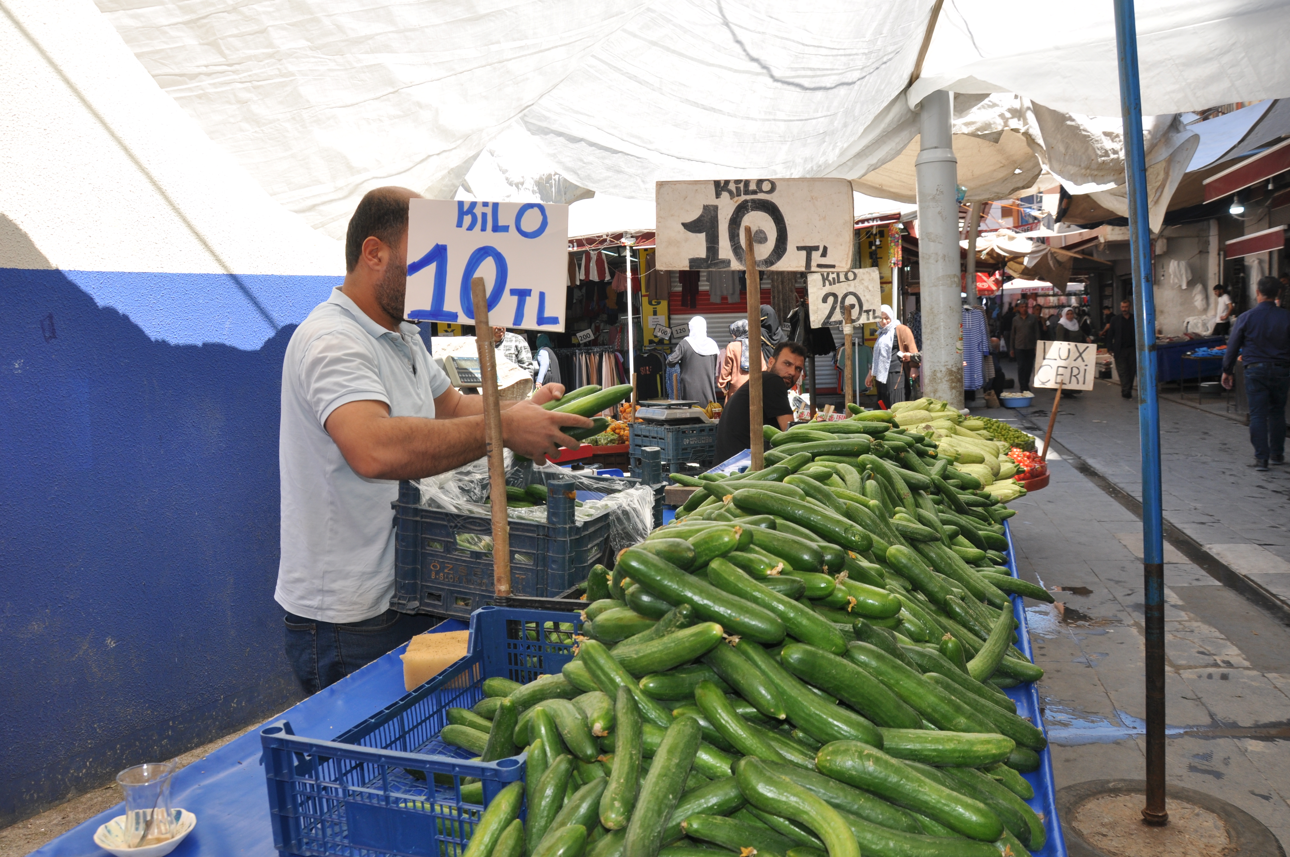 Batman’da üretim arttı salatalık fiyatları düştü
