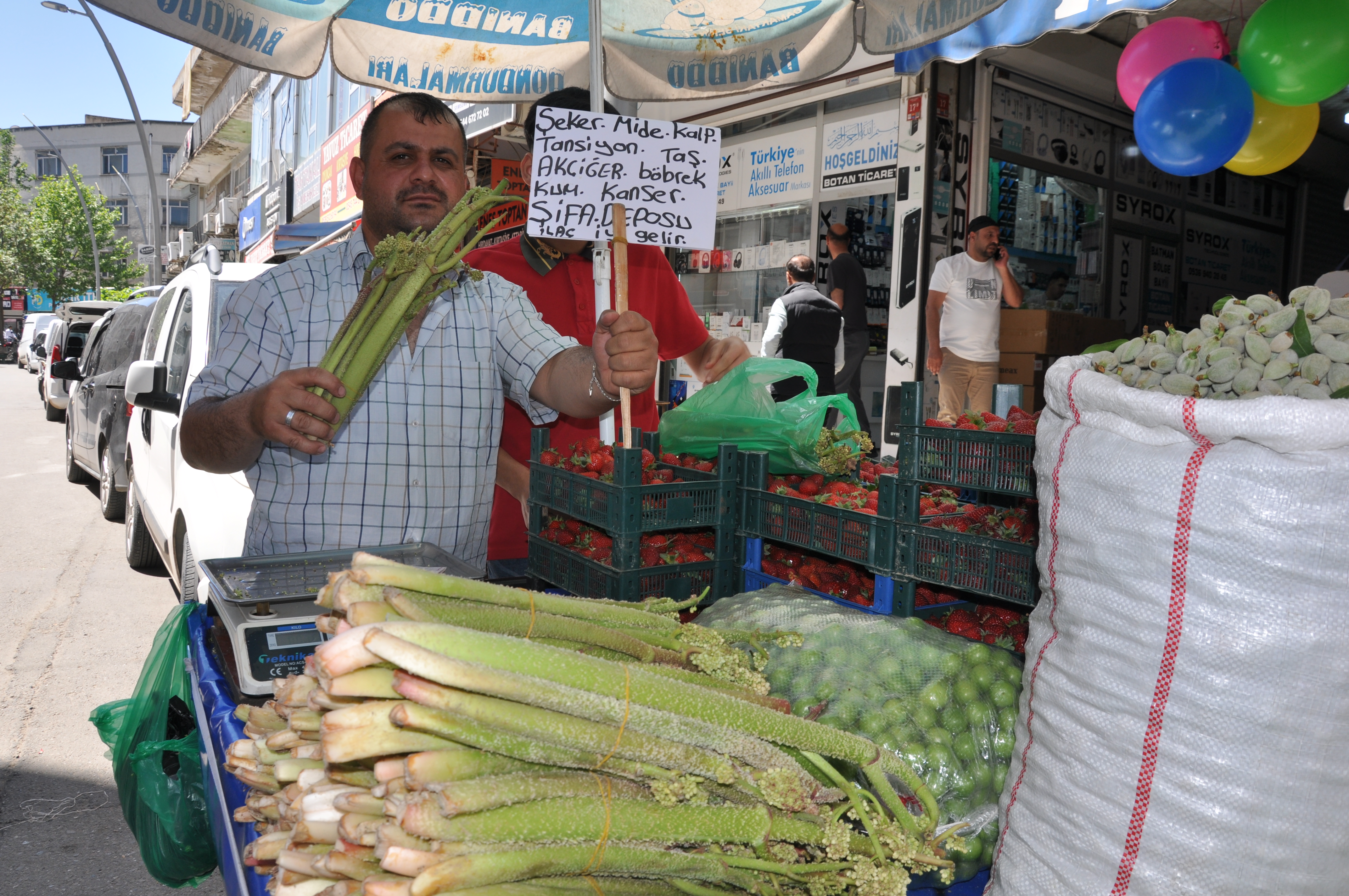 Ekşiliğiyle Bilinen Yayla Muzu Tezgahlarda (1)