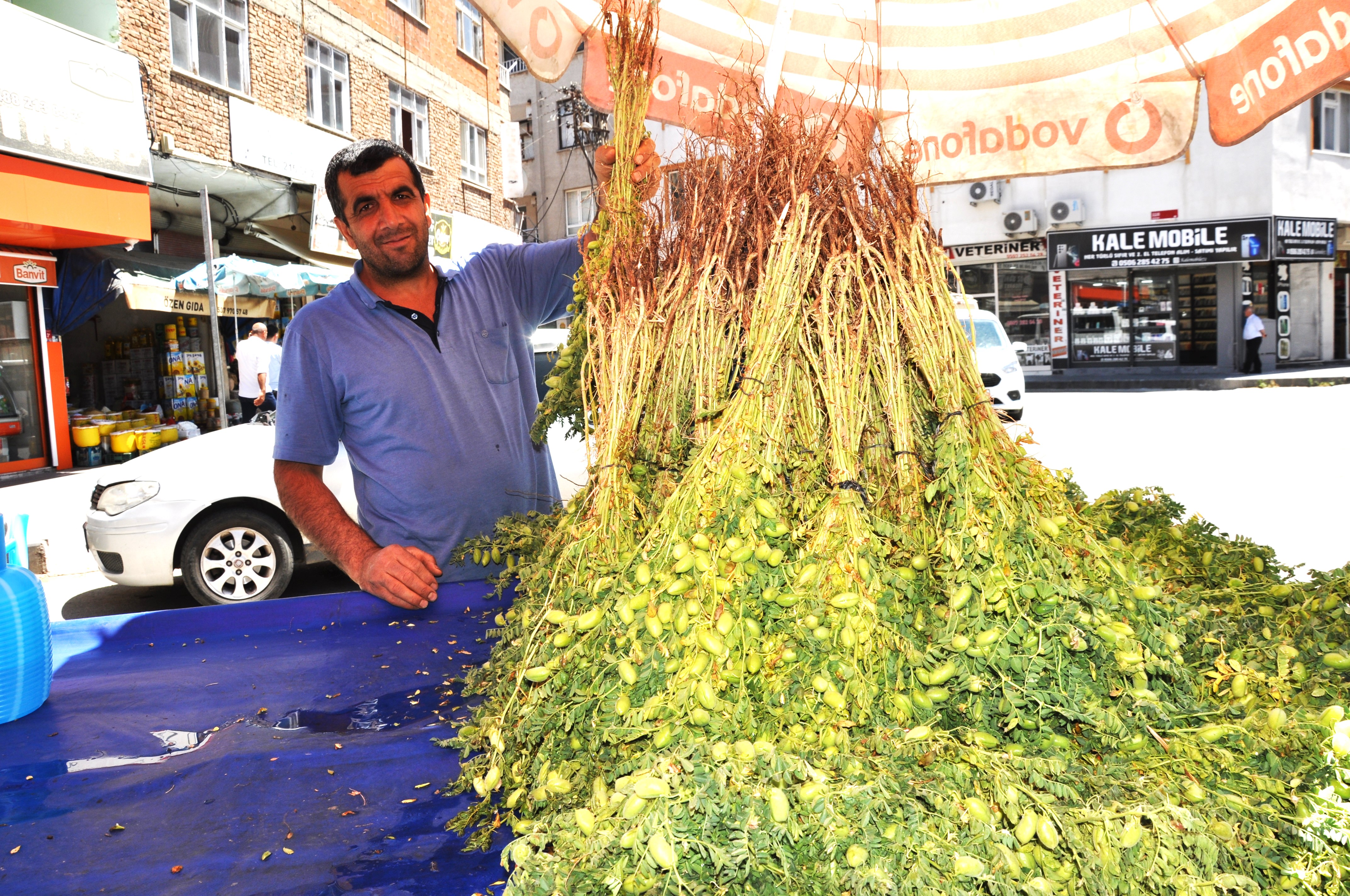 Bahar Yemişlerinin Vazgeçilmezi Yeşil Nohut (2)