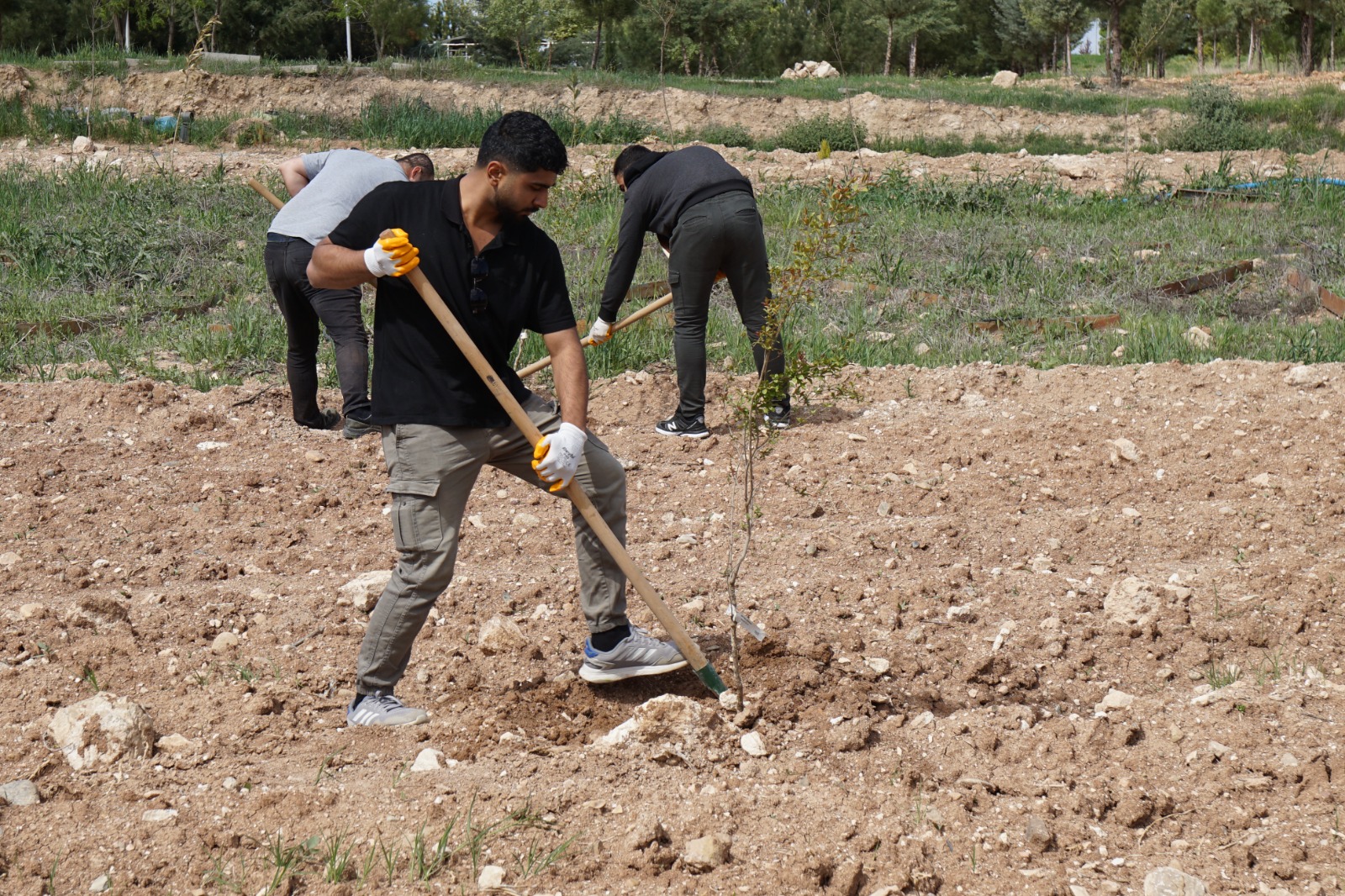 Batman Üniversitesi'nde Öğrencilere Çifte Fırsat! (2)