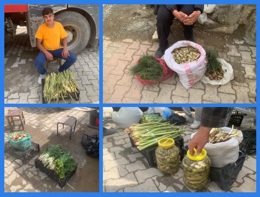 Doğal Otlar Pazarda Yok Satıyor! (2)