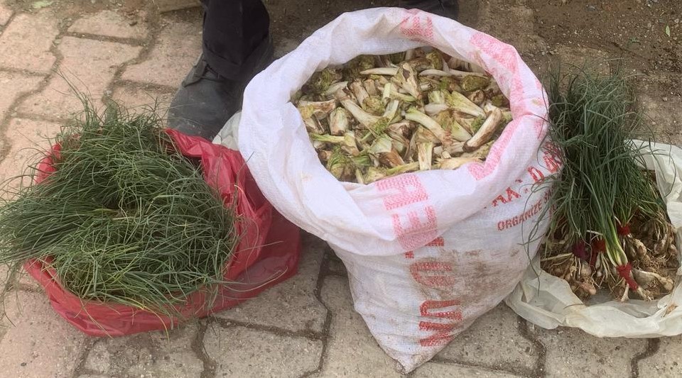 Doğal Otlar Pazarda Yok Satıyor!1