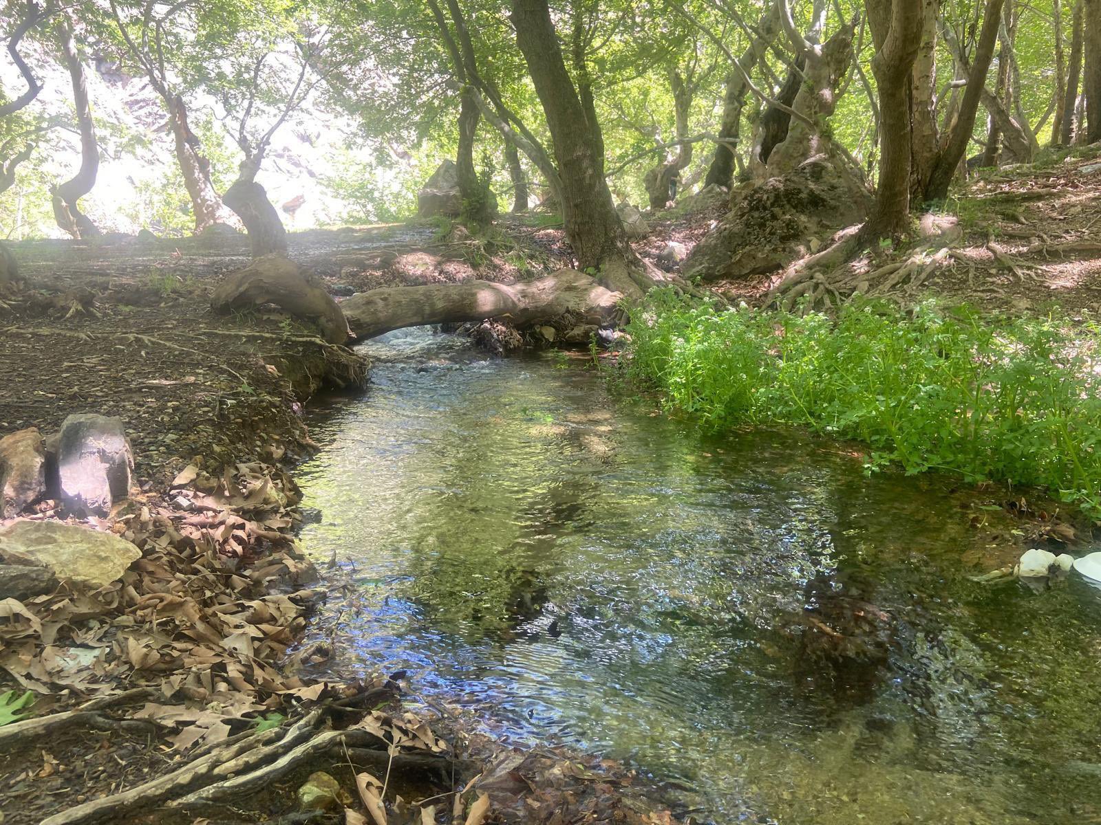 Gp7 Lwjx Xs A A D5Np