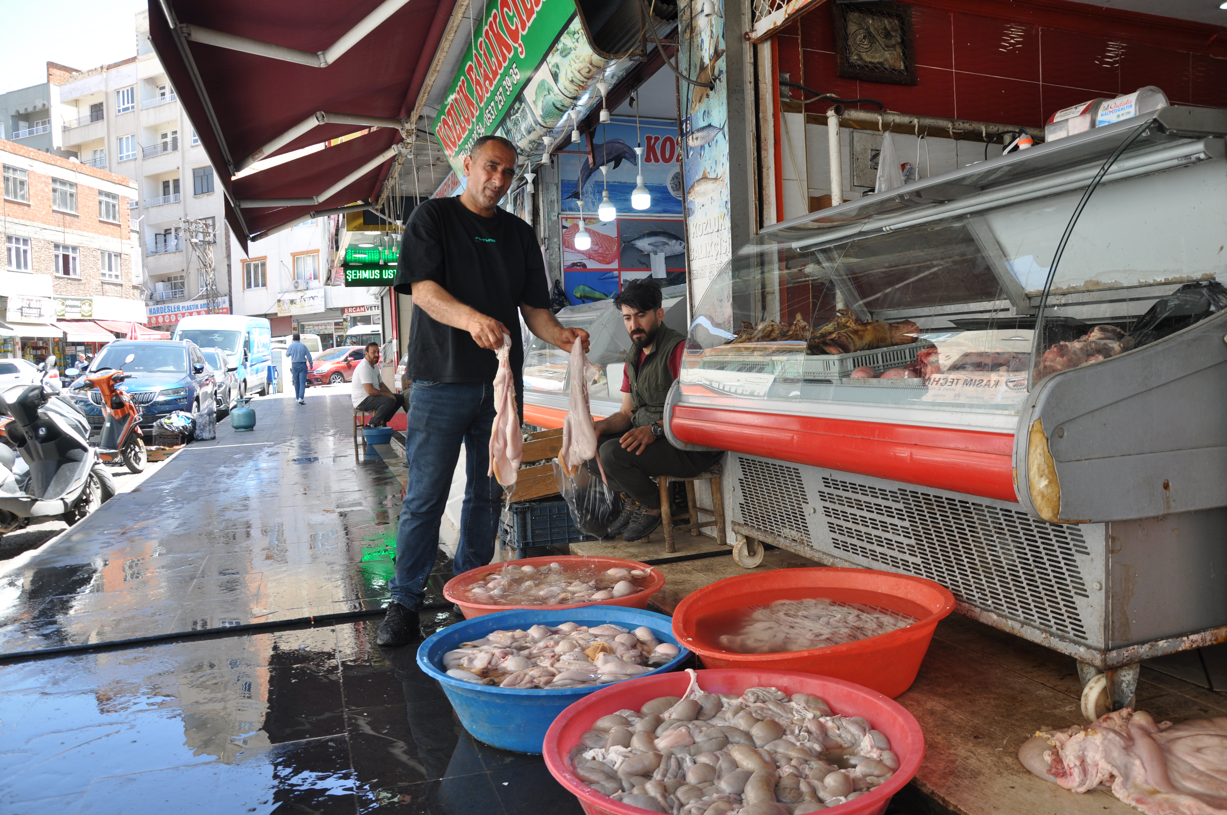 Kışın Kazanıp Yazın Yiyorlar1