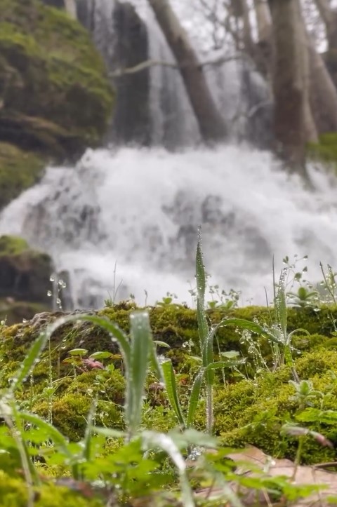 Kozluk Ayngebire Piknik Alanı (2)