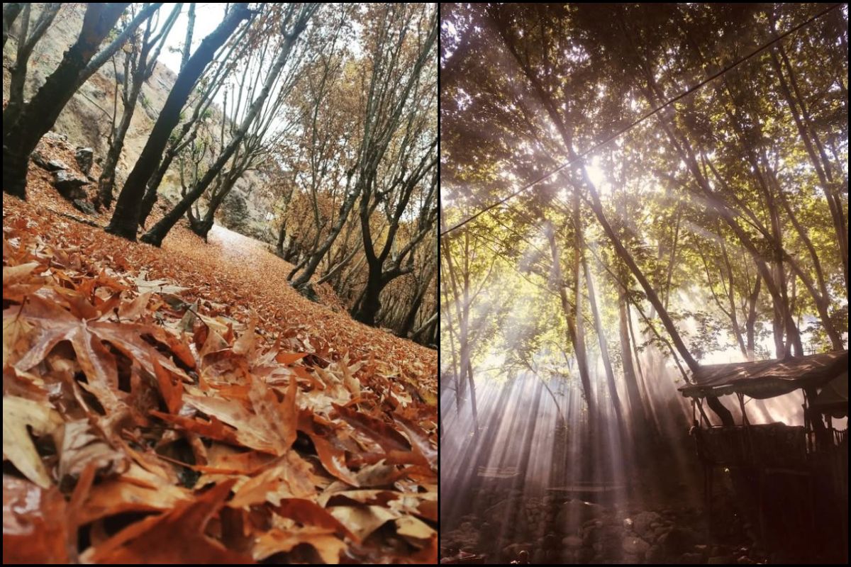 Kozluk Ayngebire Piknik Ve Mesire Alanı Nerededir, Nasıl Ulaşılır (4)