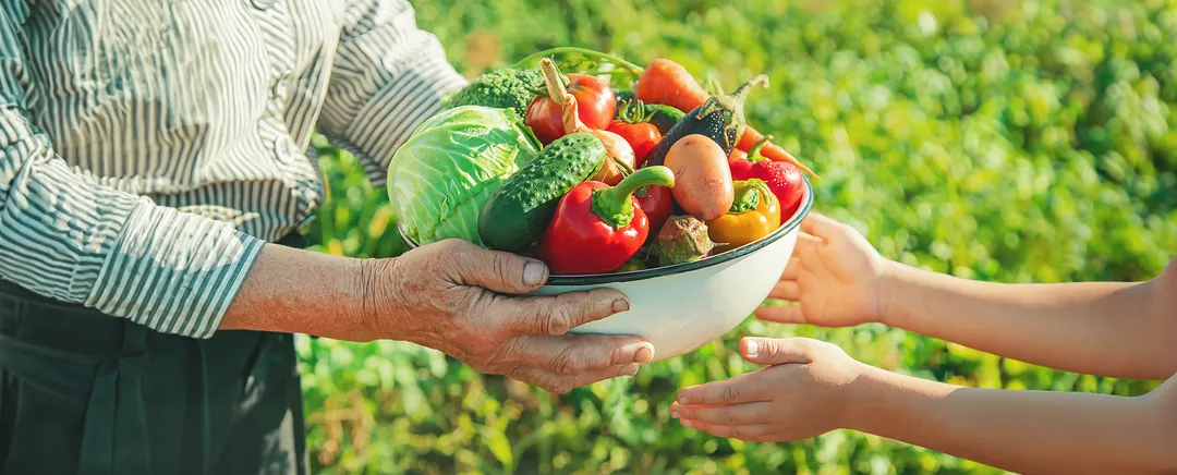 Ülkemizde Tarım Faaliyetlerinin Yoğun Olarak Yapıldığı Iller Hangileridir (1)-1