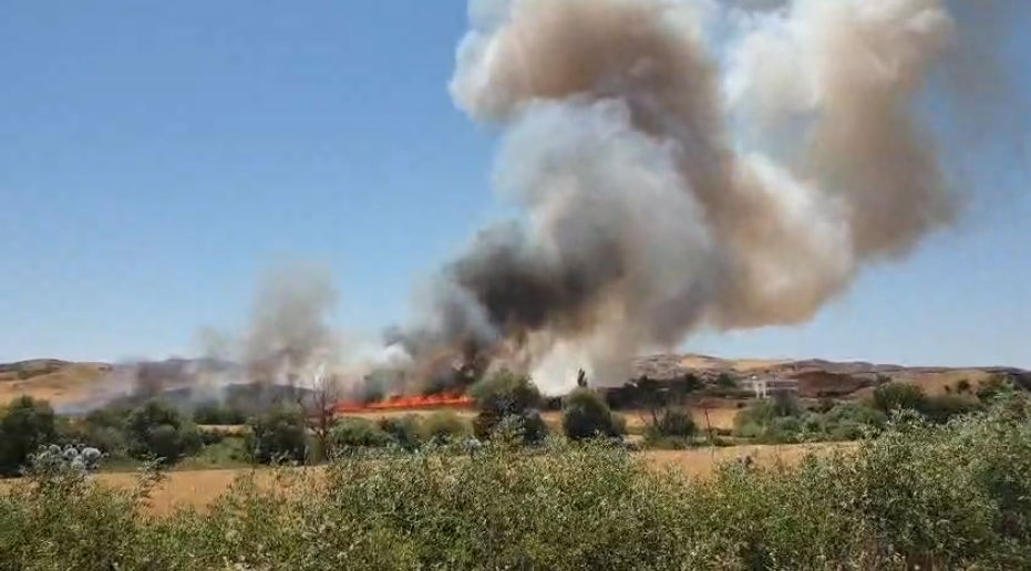 Capture 20250627 115536