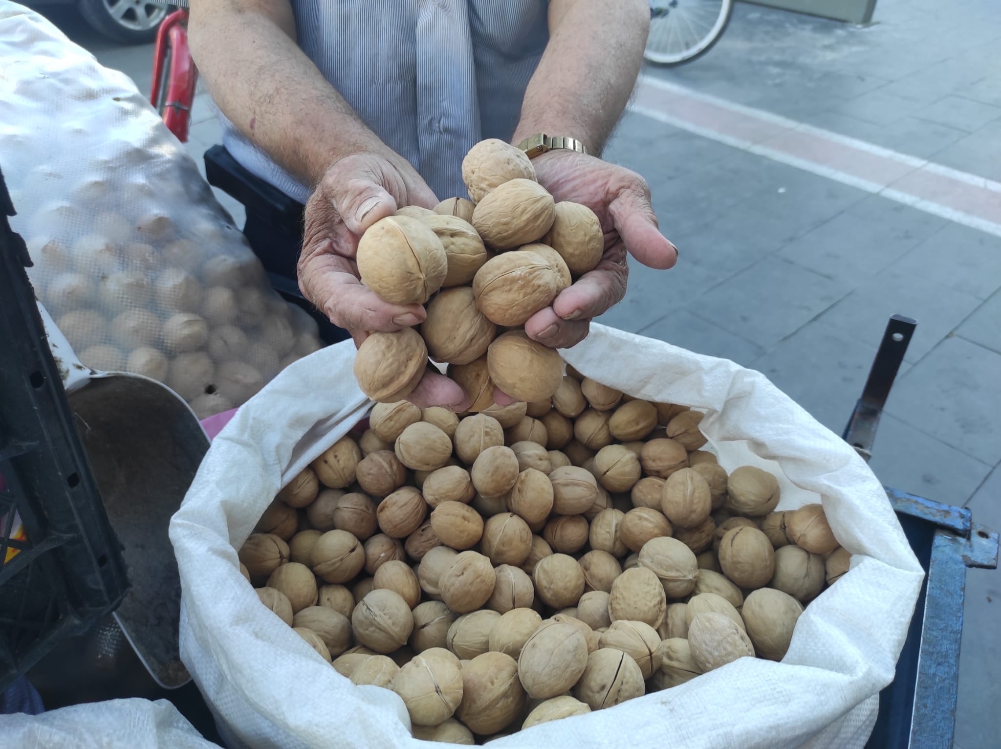 Ceviz Tezgâhıyla 15 Kişilik Ailesine Kol Kanat Geriyor (3)