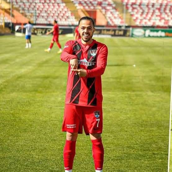 Gt A Nsp1 Ww A A E2 W2