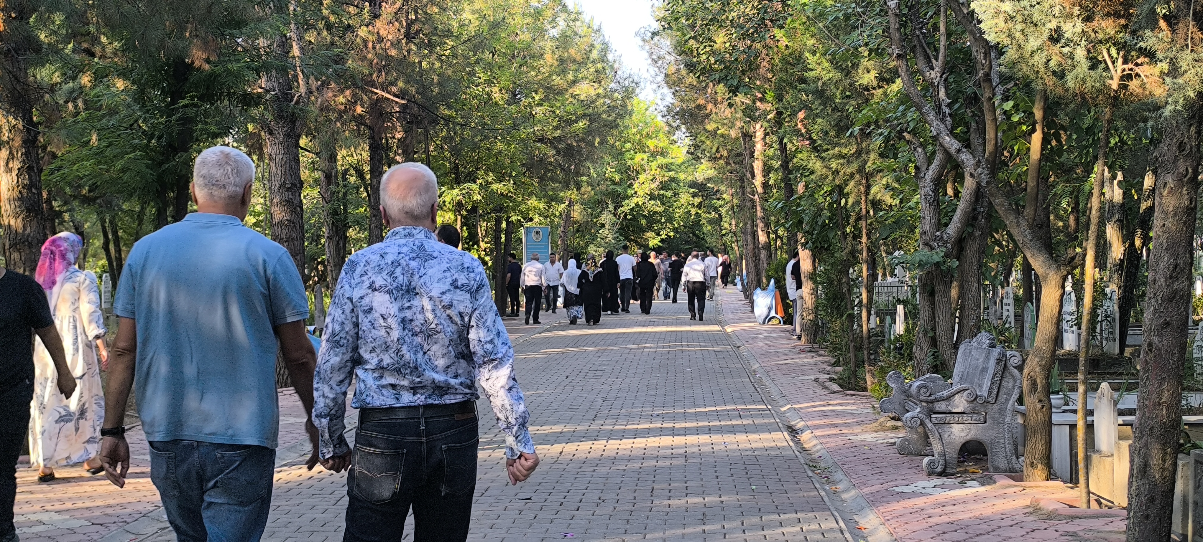 I M G 20250606 062007