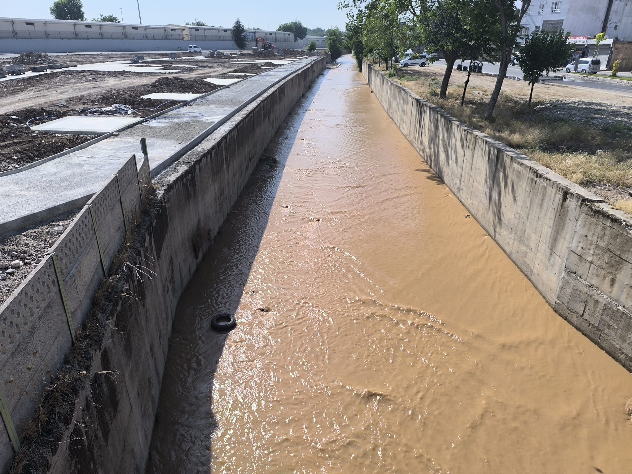 I M G 20250611 W A0018