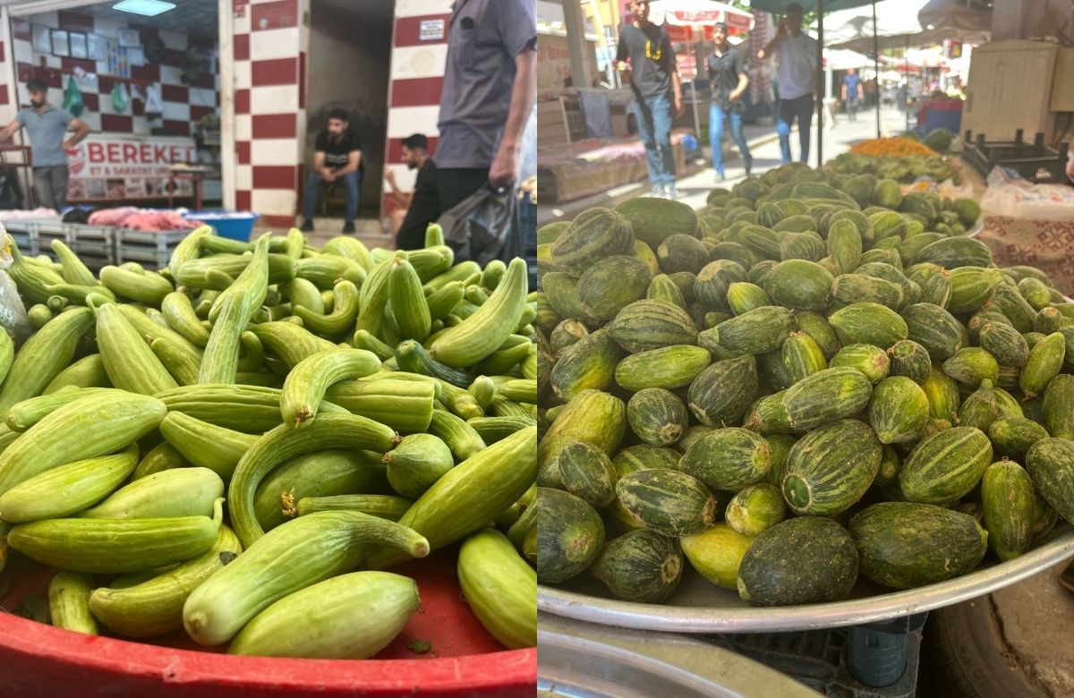 Midyat’ın Turşuluk Trozileri Tezgahlarda1