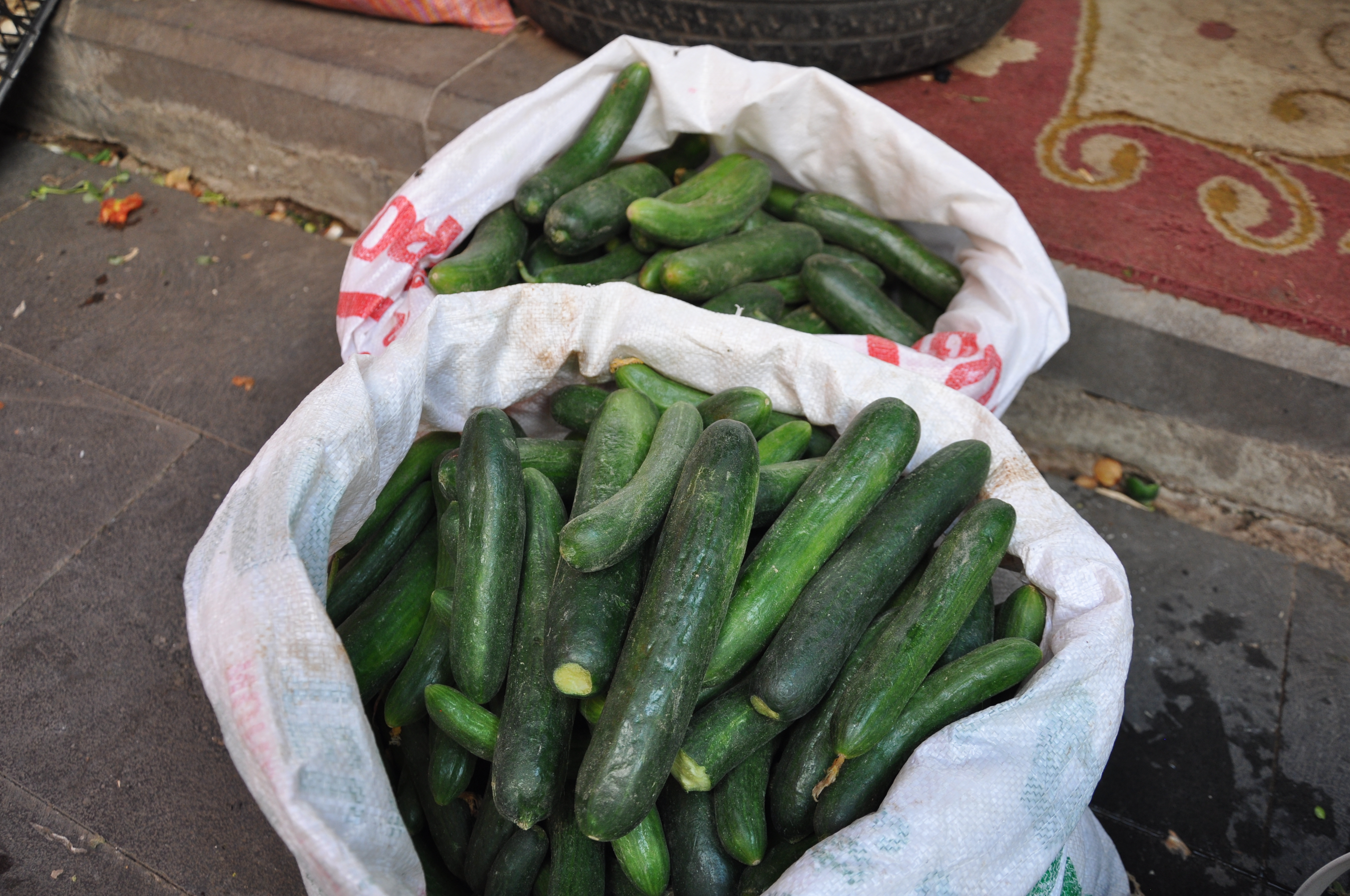 Yerli Salatalıklar Pazara İndi (2)