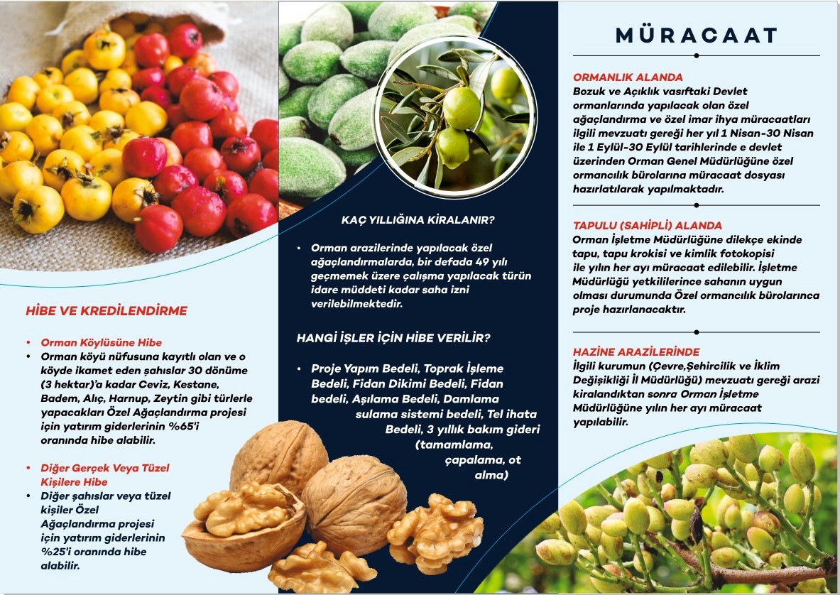 Batman’da Orman Köylerine Gelir Getirici Ağaçlandırma Desteği 5