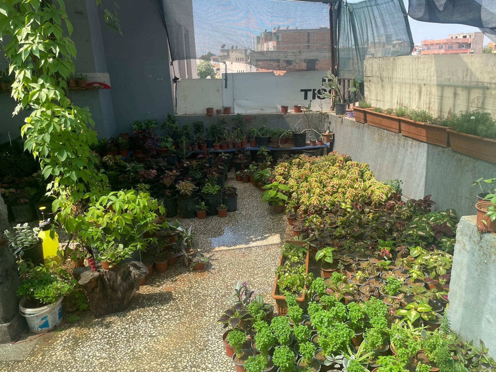 Batman’da Suriyeli Aile Çiçek Yetiştirerek Geçimini Sağlıyor 02