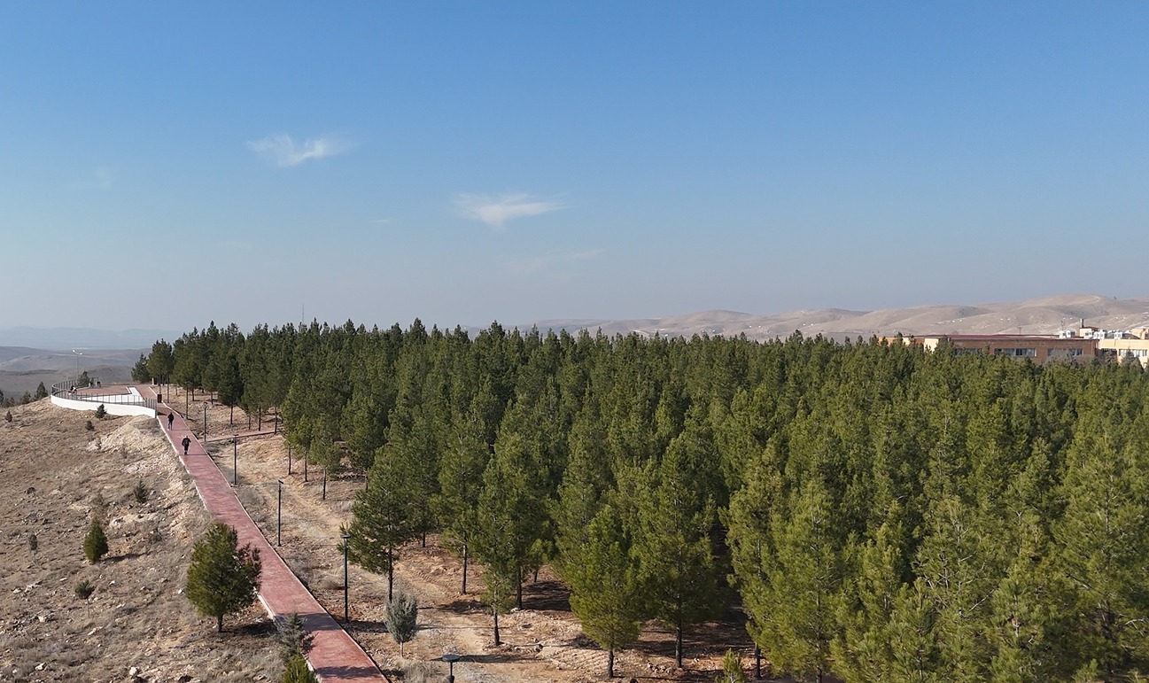 Doğaya Nefes, Şehre Nefes Necat Nasıroğlu Hatıra Ormanı Açılışa Hazırlanıyor (2)