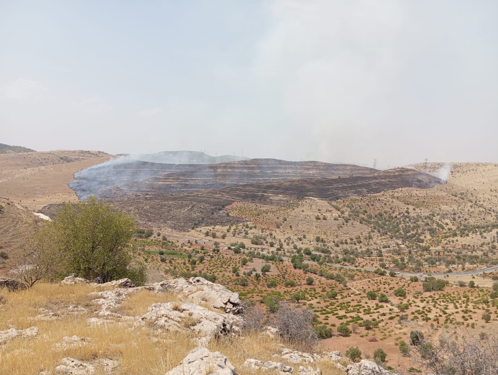 Gercüş'te Orman Yangını! Bin Dönümlük Alanda Üzüm Bağları Yandı!