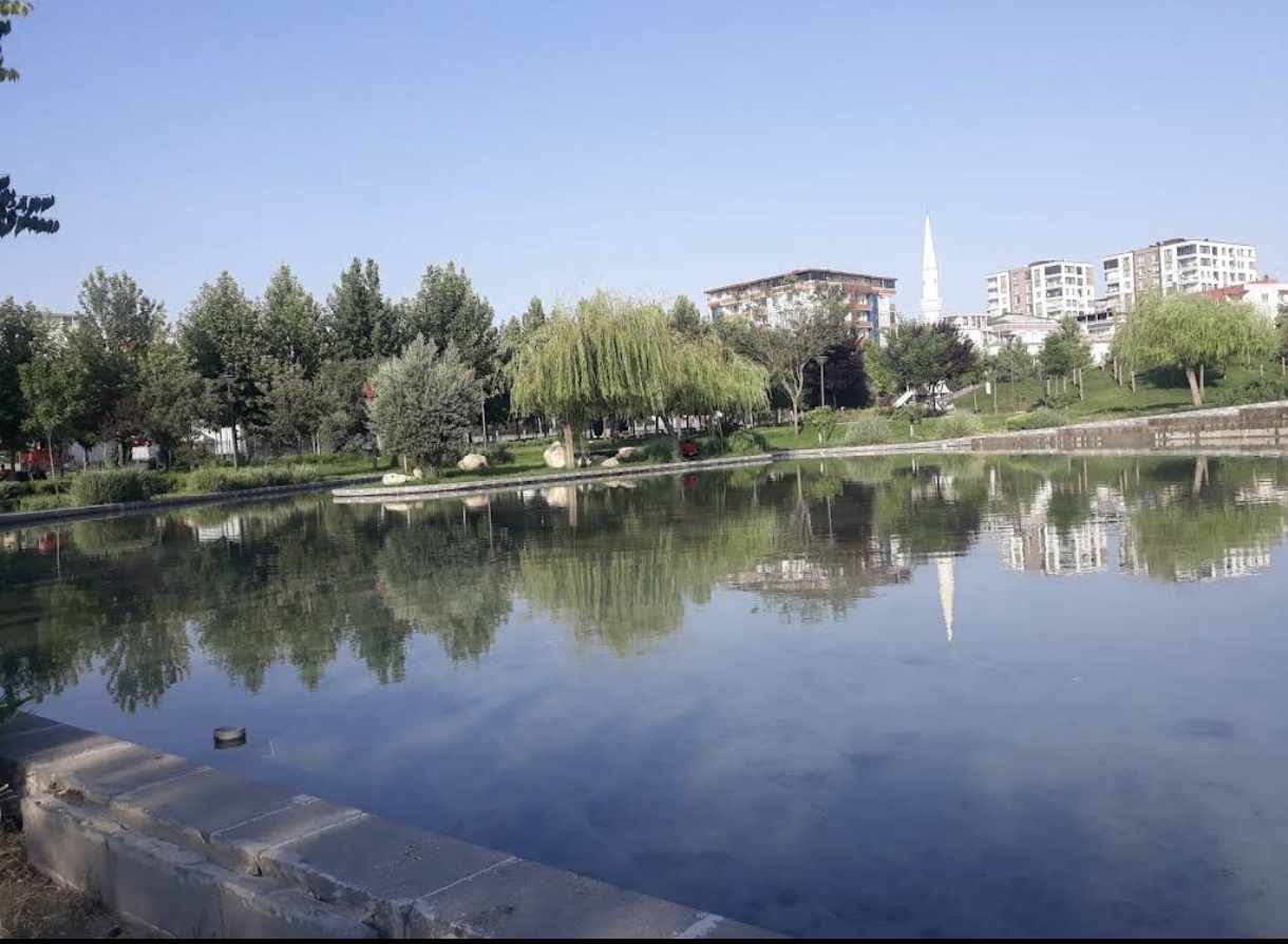 I M G 20250723 213817