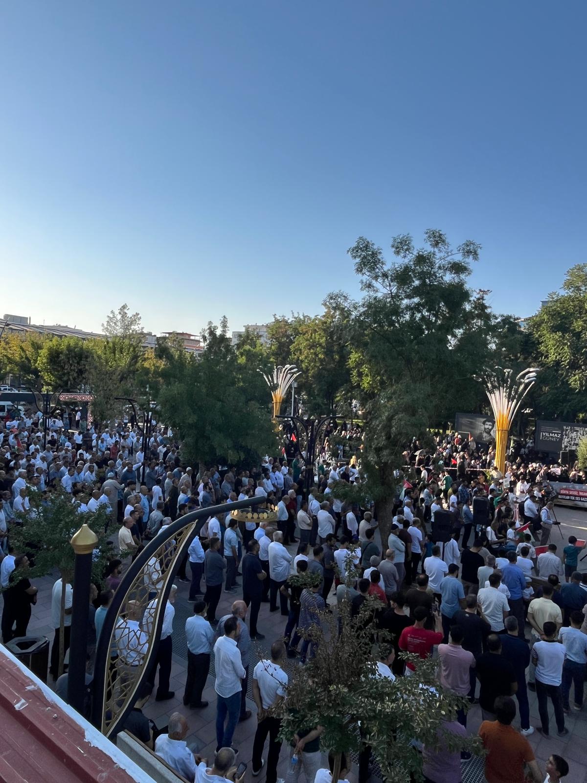 I M G 20250723 W A0062