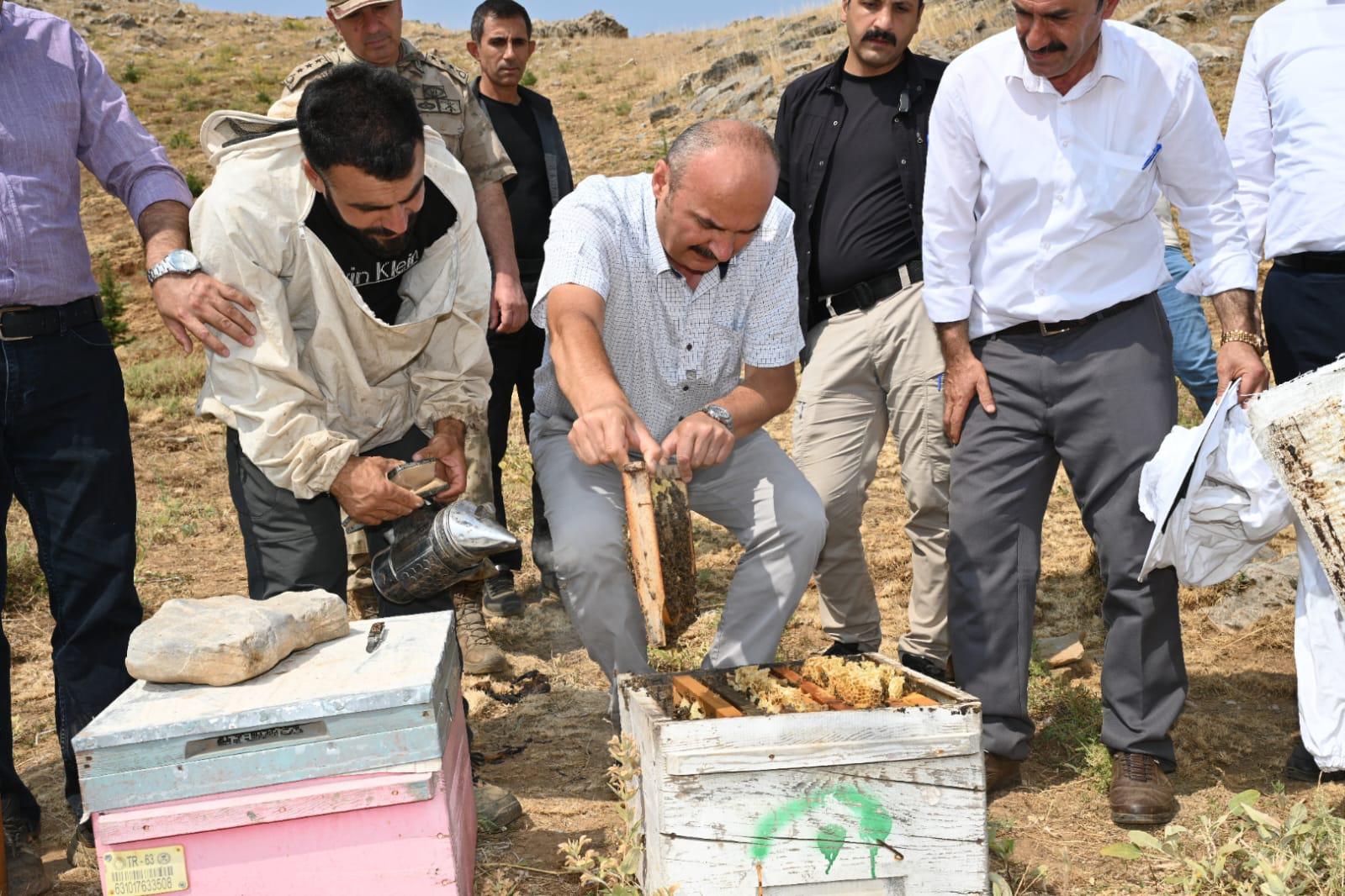 Whatsapp Image 2025 07 31 At 12.14.51