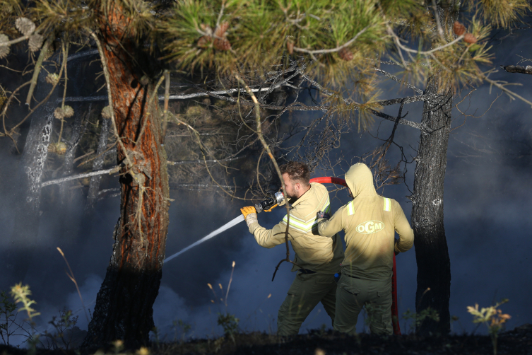 Yapay Zeka Grok'tan Orman Yangınları Değerlendirmesi Felaket Neden Büyüyor, Çözüm Yolları Neler (2)