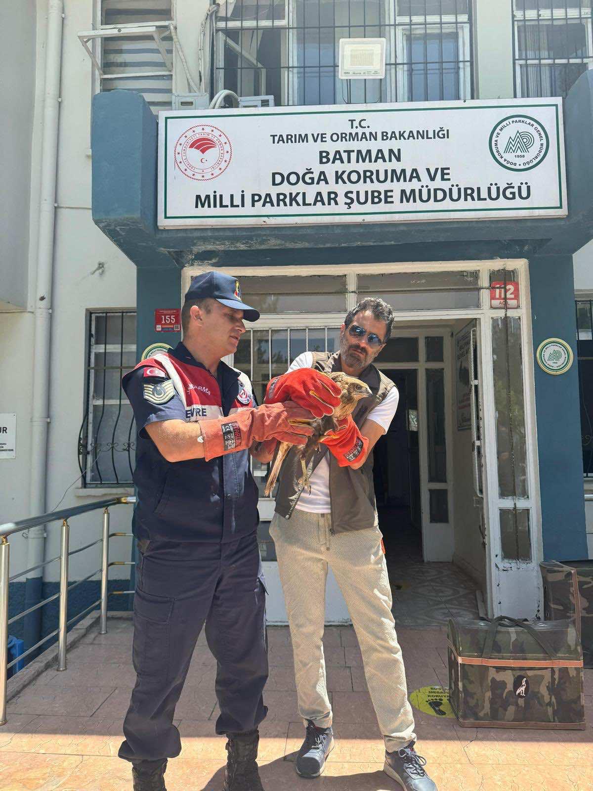 Yaralı Şahin Jandarma Tarafından Kurtarıldı (1)