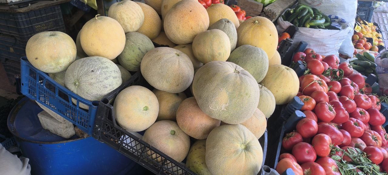 Yerli Kavunlar Pazarda (2)