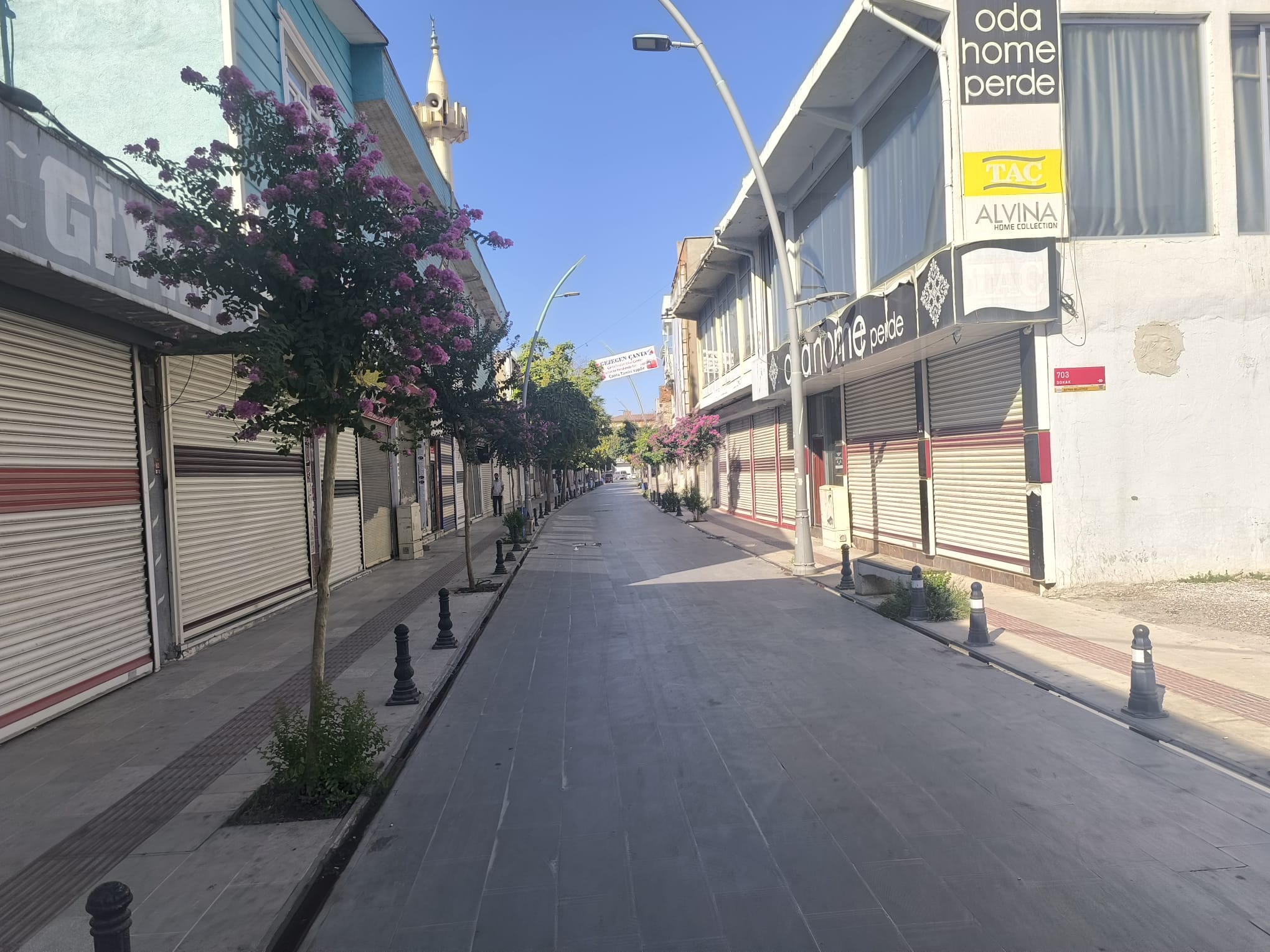 1. Cadde’de Oya Ağaçları Çiçek Açtı Ama Canlılık Geri Gelmedi (5)