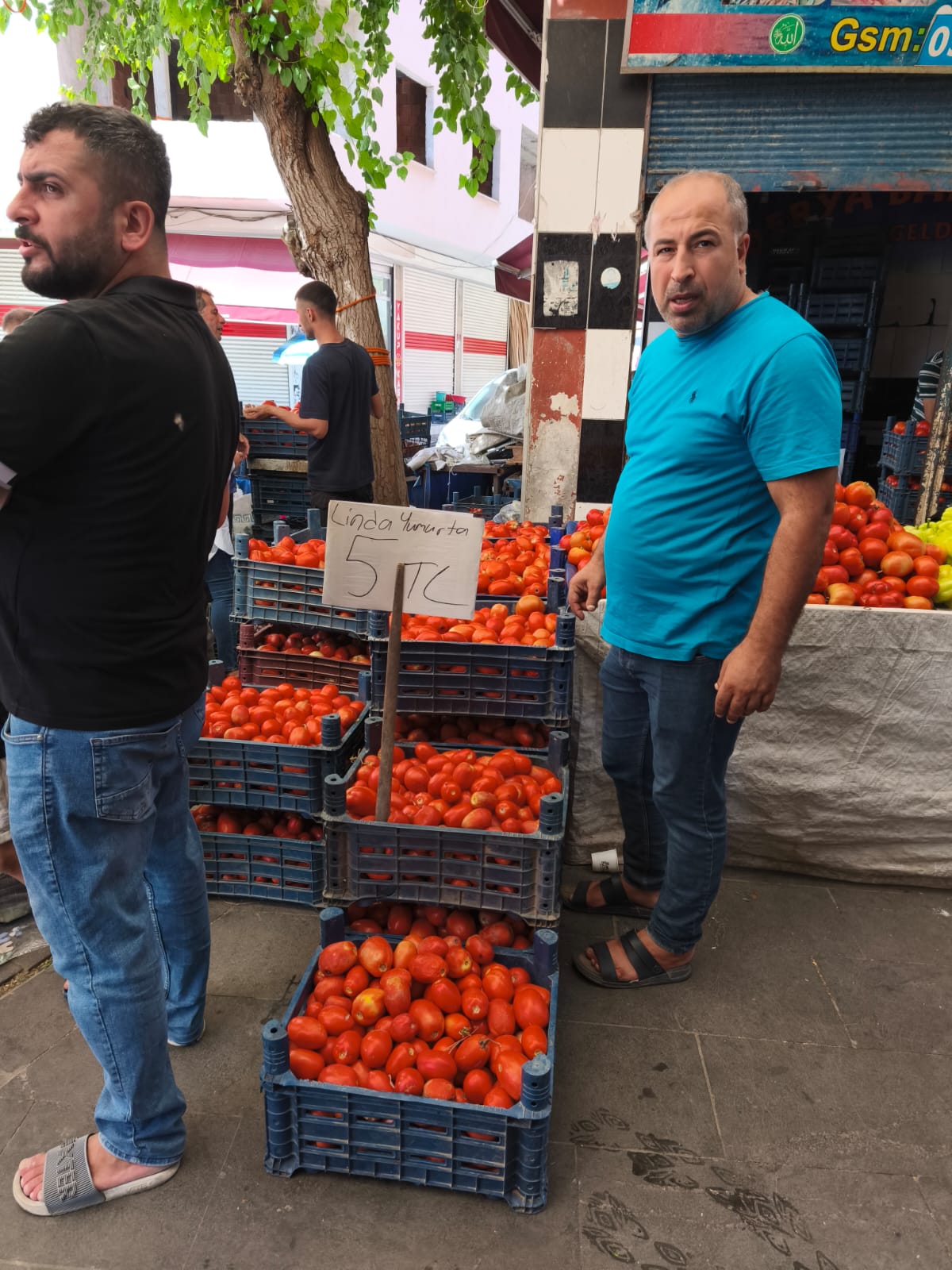 Batman’da Domates Fiyatları Yılın En Düşük Seviyesine İndi Kilo 5 Lira (2)