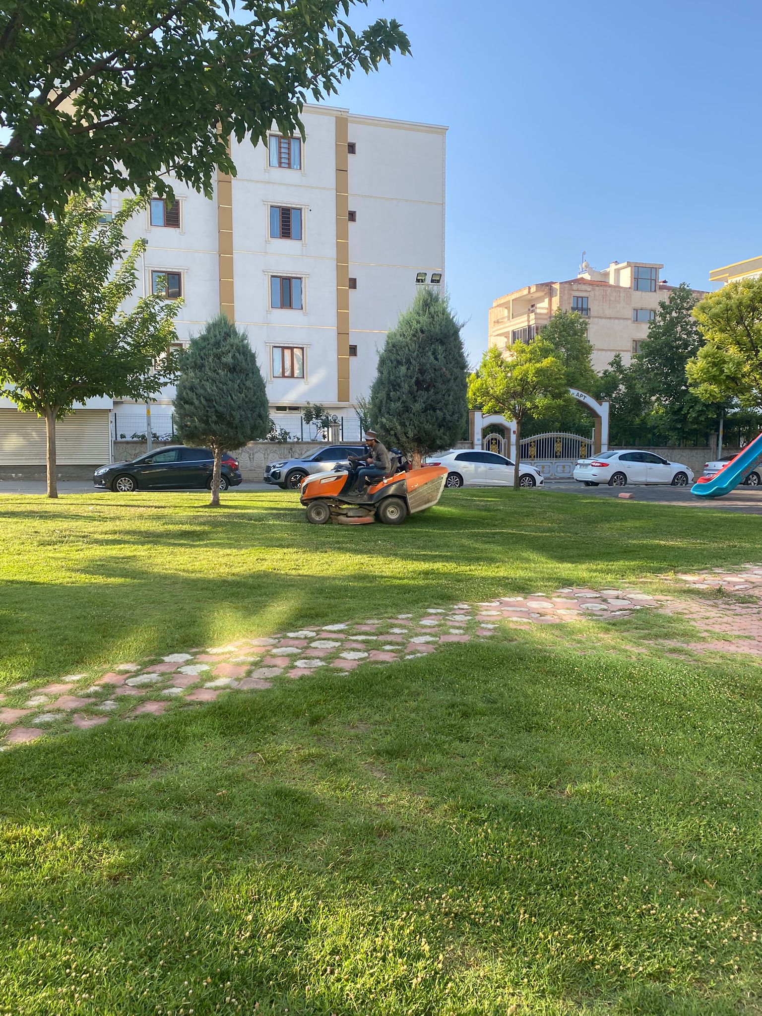 Belediyeden 85 Dönümlük Alanda Çim Biçme Çalışması (2)