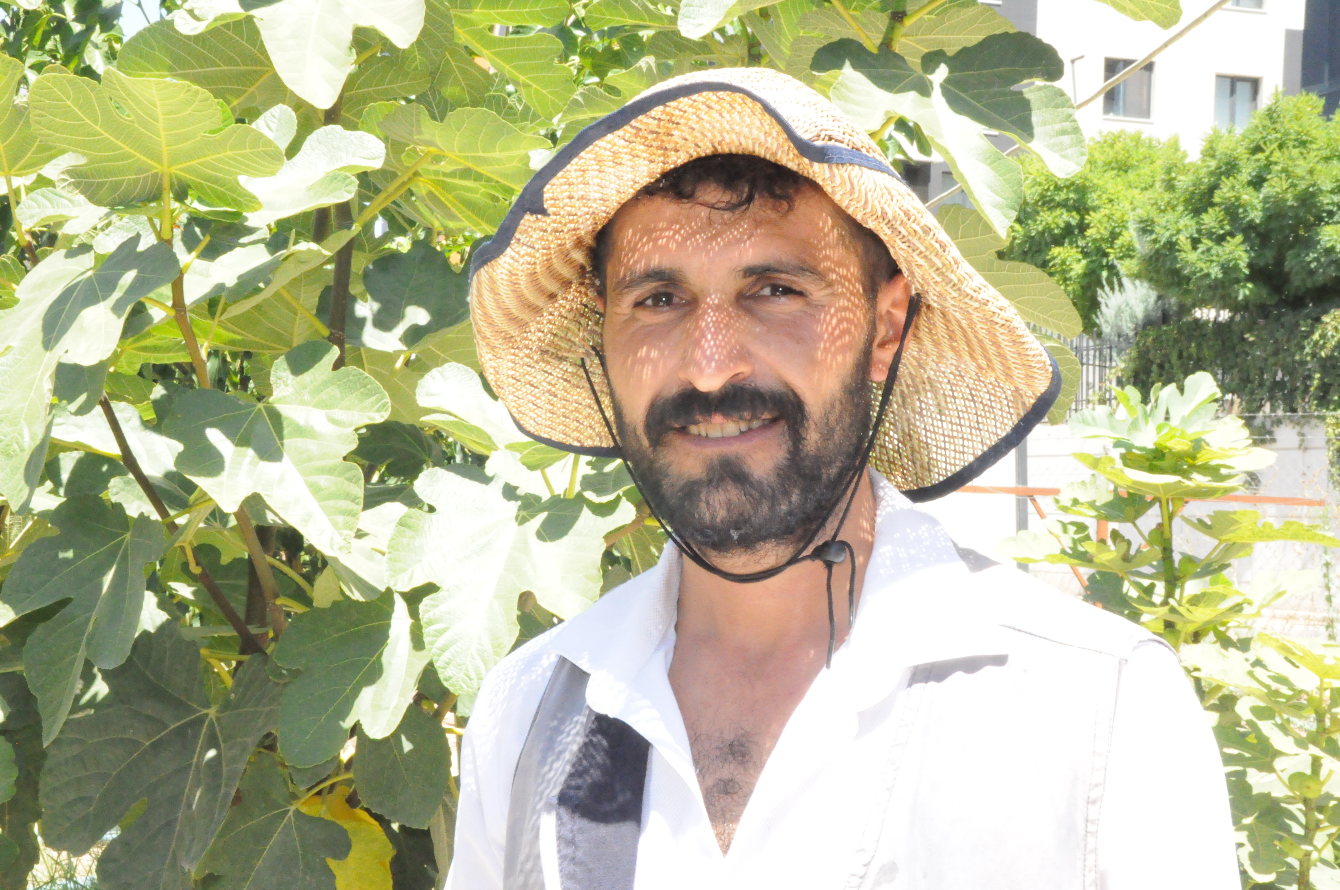 Binaların Arasındaki Tarlada Organik Üretim (1)