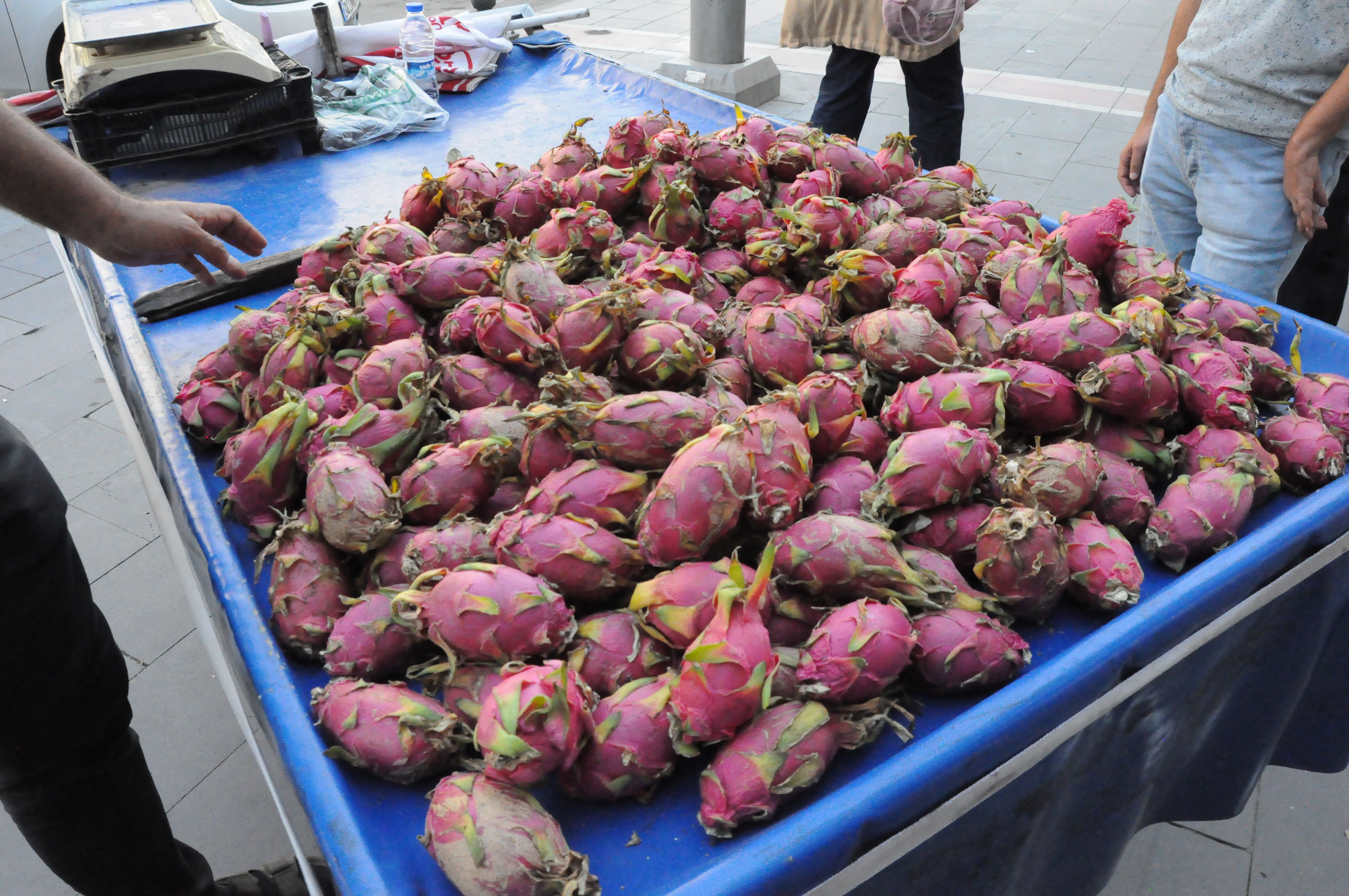 Ejder Meyvesine Yoğun İlgi Hem Meraktan Hem Faydalarından Alıyorlar (3)