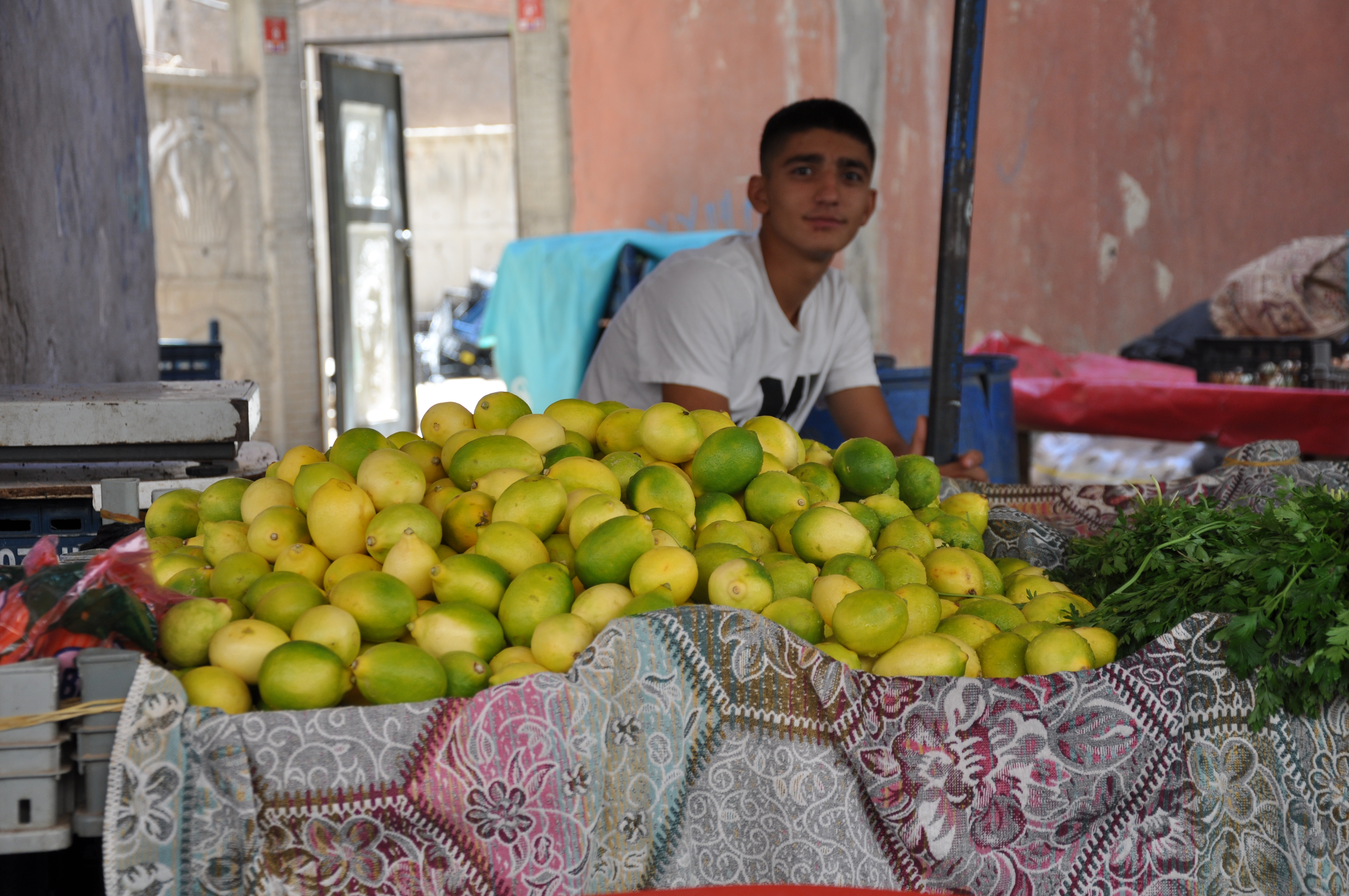 Limon Fiyatları Cep Yakıyor En Ucuzu 100 Lira! (1)