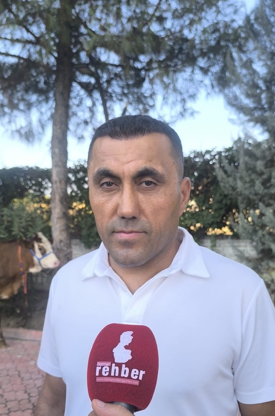 Şah Mar'dan 10 Aileye Büyük Baş Hayvan Desteği (2)