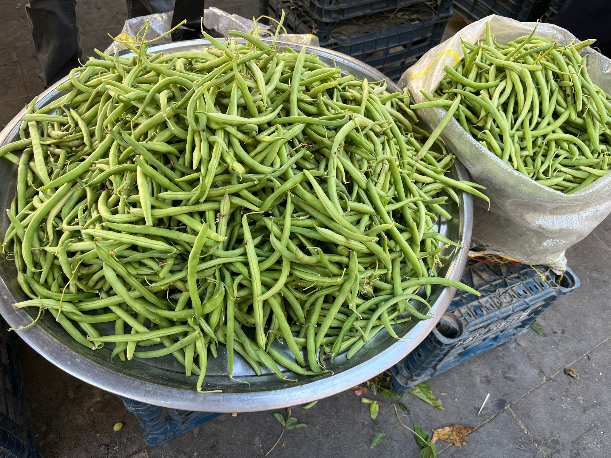 Alo Tevşo’da Taze Fasulyeler Tezgâhlarda (1)