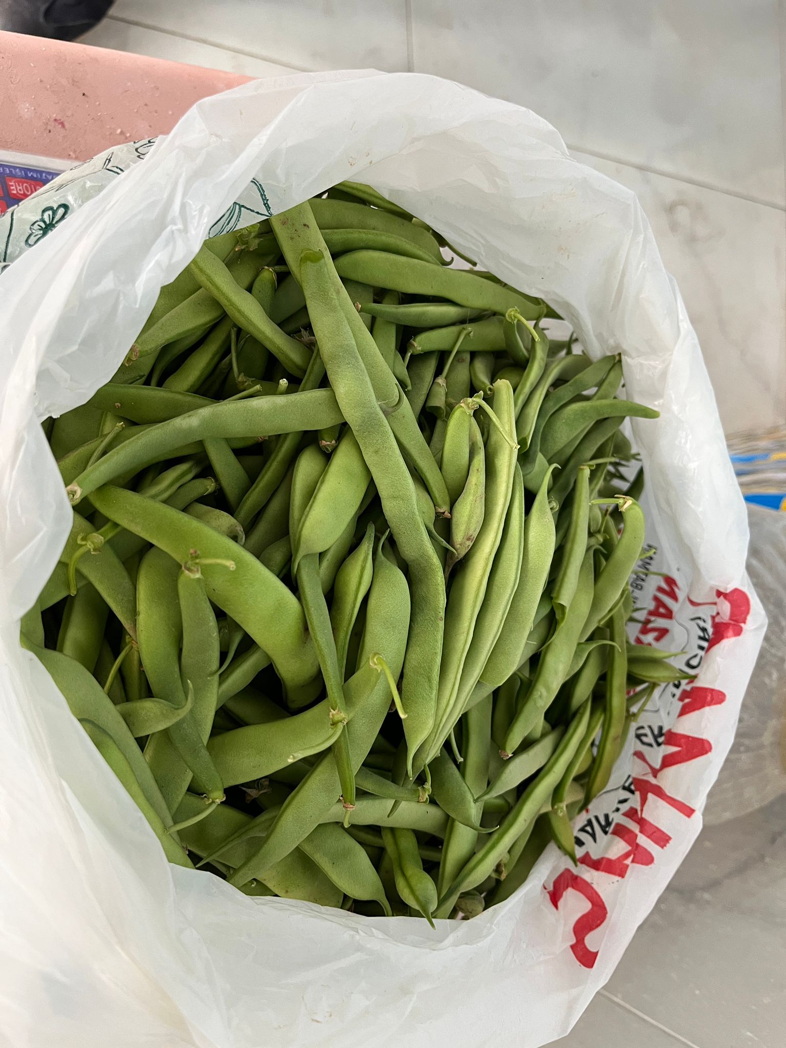 Alo Tevşo’da Taze Fasulyeler Tezgâhlarda (4)