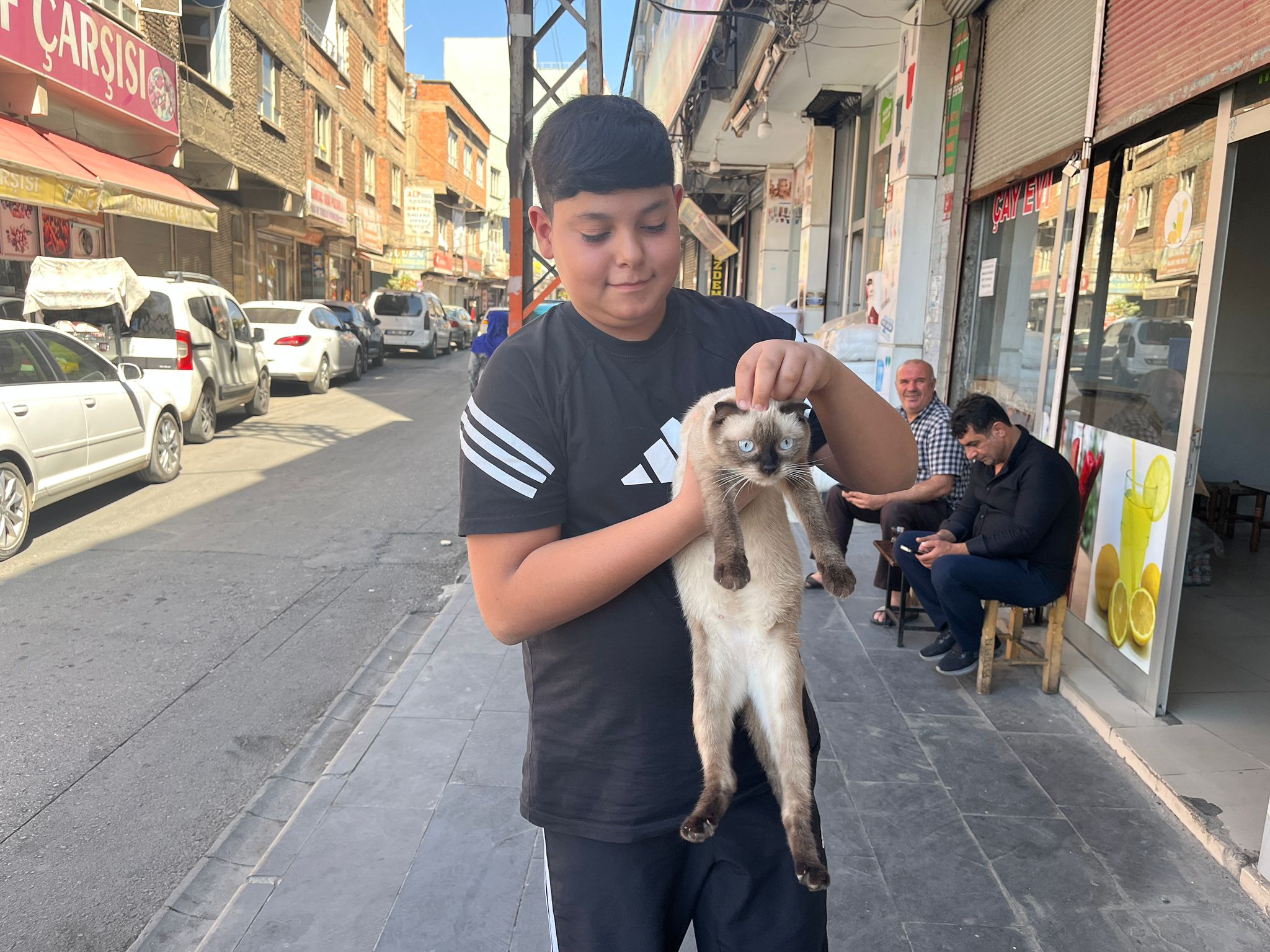Batman Esnafının Maskotu Badem Gözlü Siyam Kedisi (5)