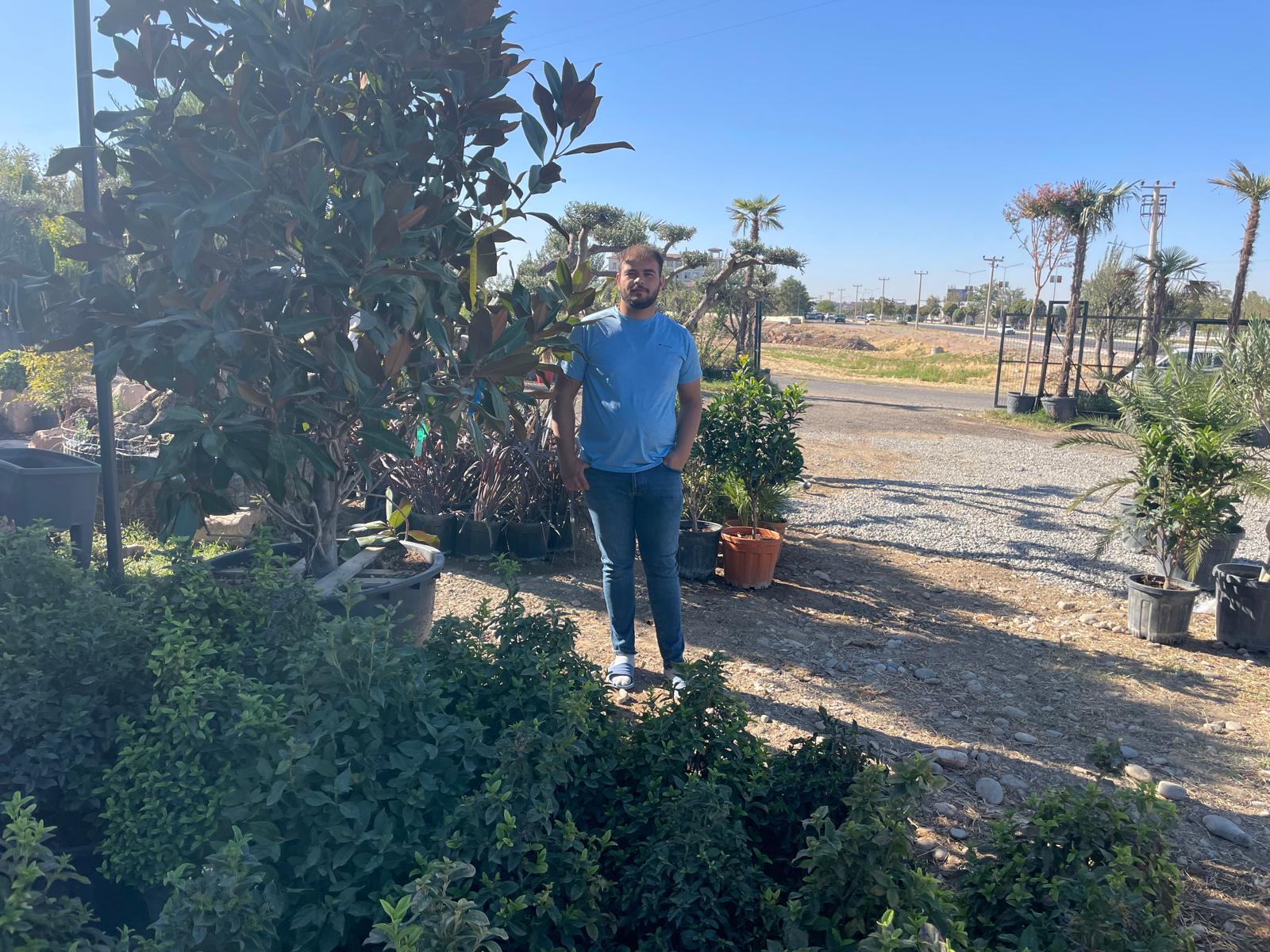 Batman’da Asırlık Zeytin Ağaçlarına Yoğun İlgi (8)