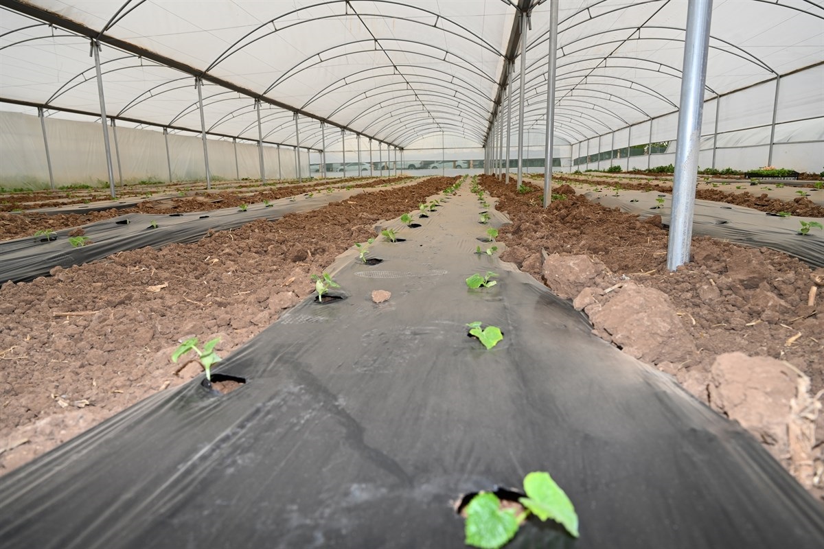 Batman'da Beş Osb Ve 20 Sera Kent Kurulacak 35