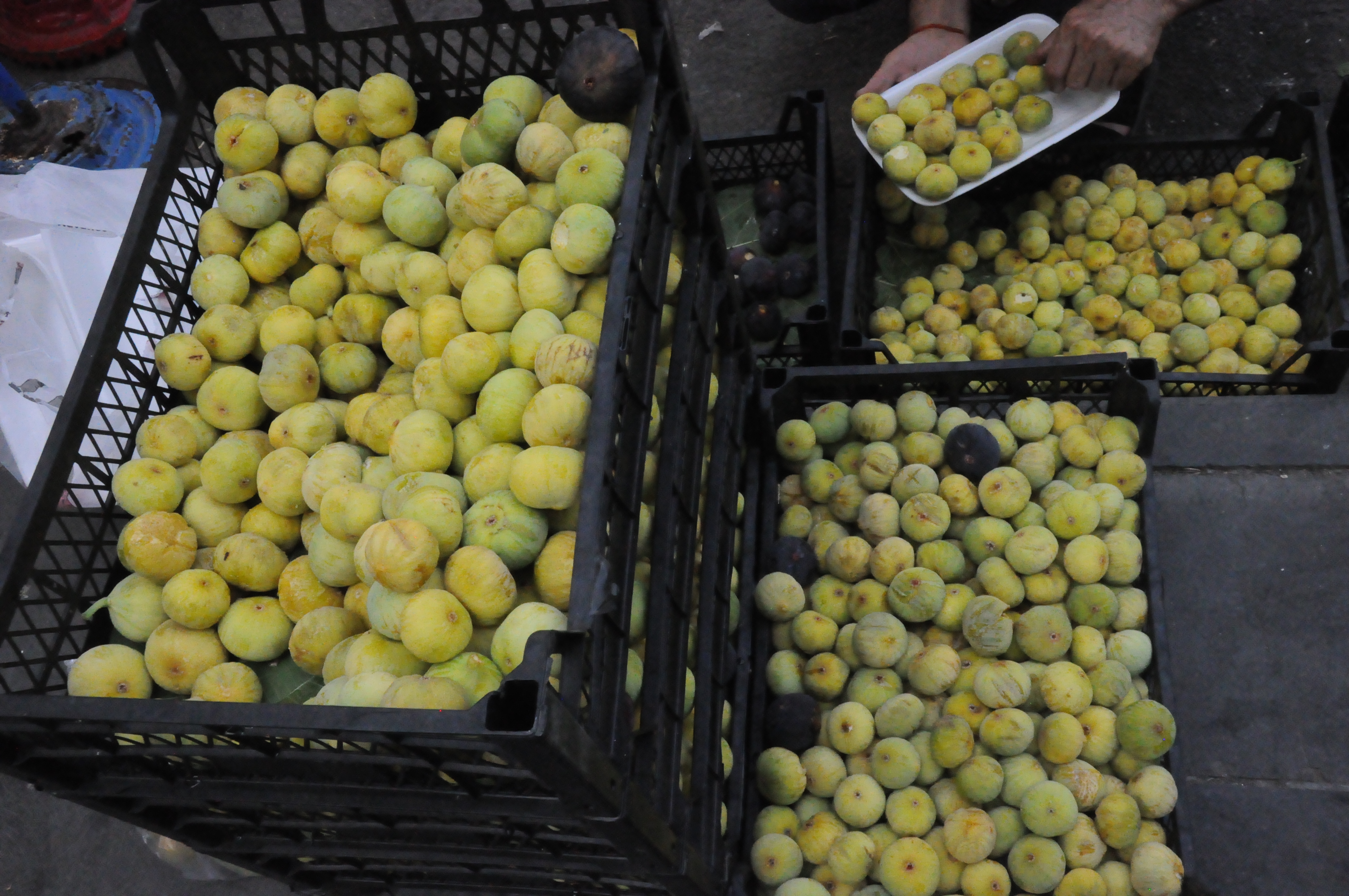 Batmanlılar Bu Yıl İncir Yiyemedi Fiyatı Cep Yakıyor (3)
