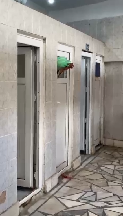 Hüda Par Hiçbir Genç Karanlığa Terk Edilmemeli-1