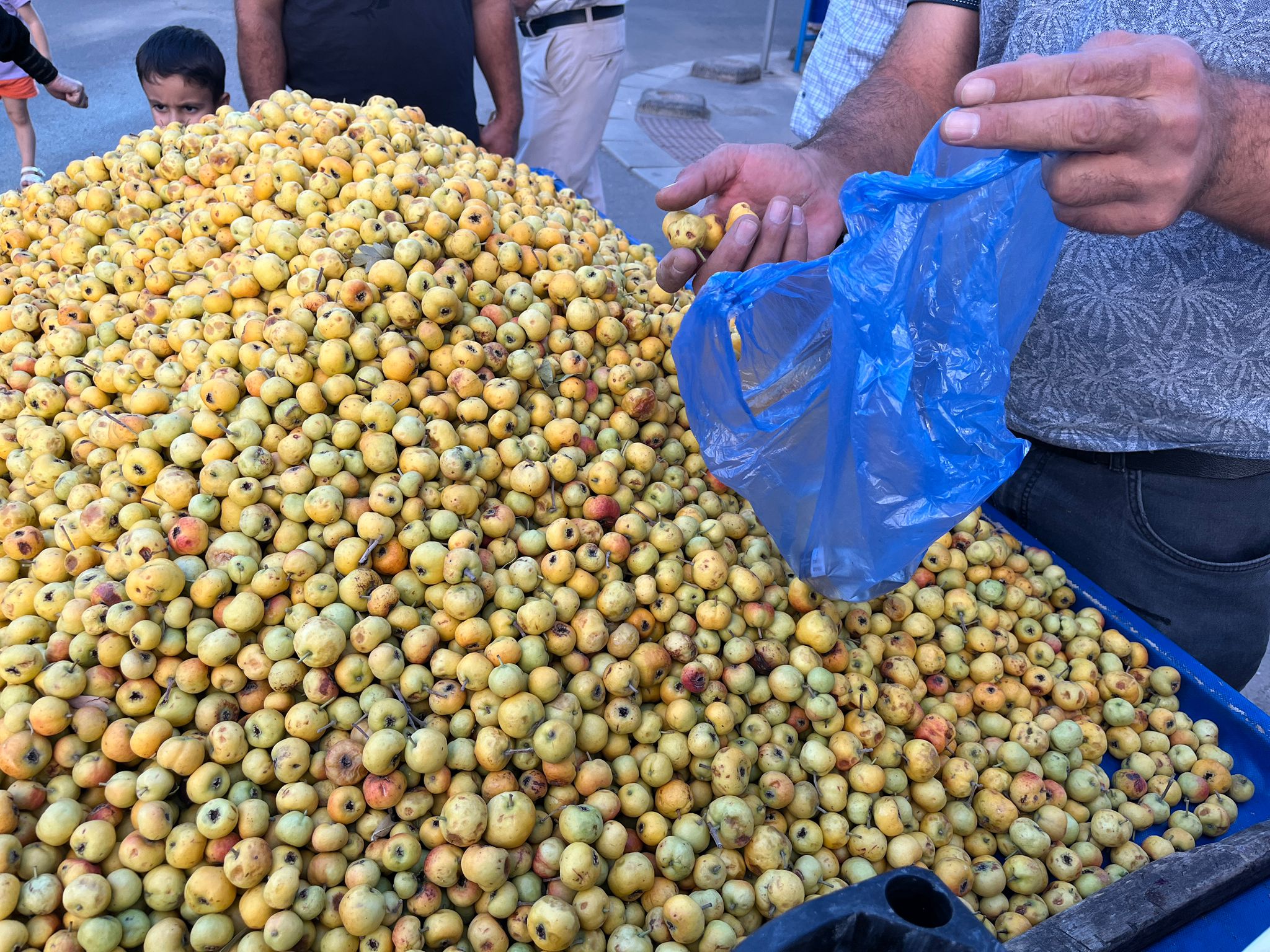 Kışın Habercisi Alıç Tezgâhlarda Yerini Aldı (3)