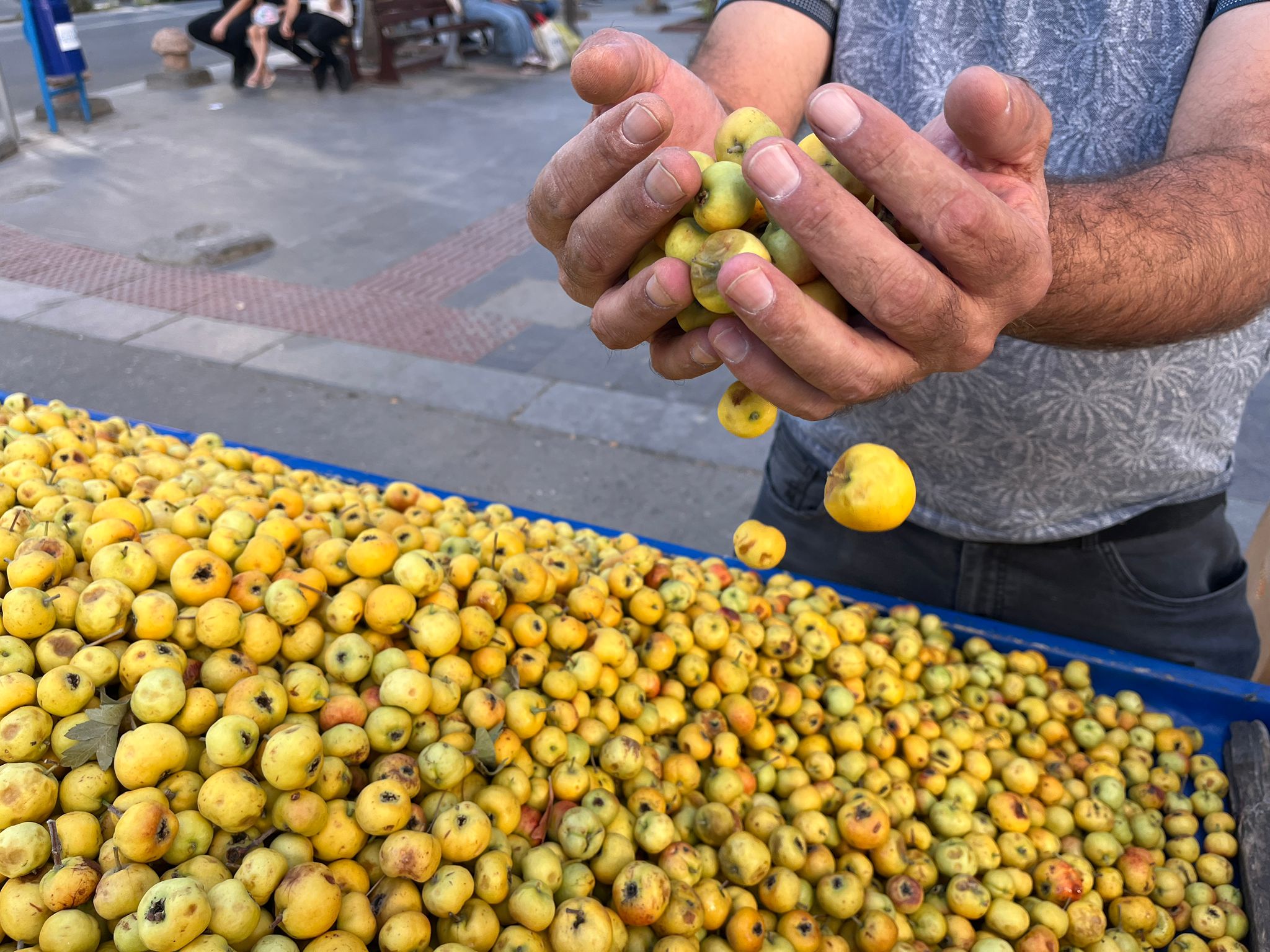 Kışın Habercisi Alıç Tezgâhlarda Yerini Aldı (4)