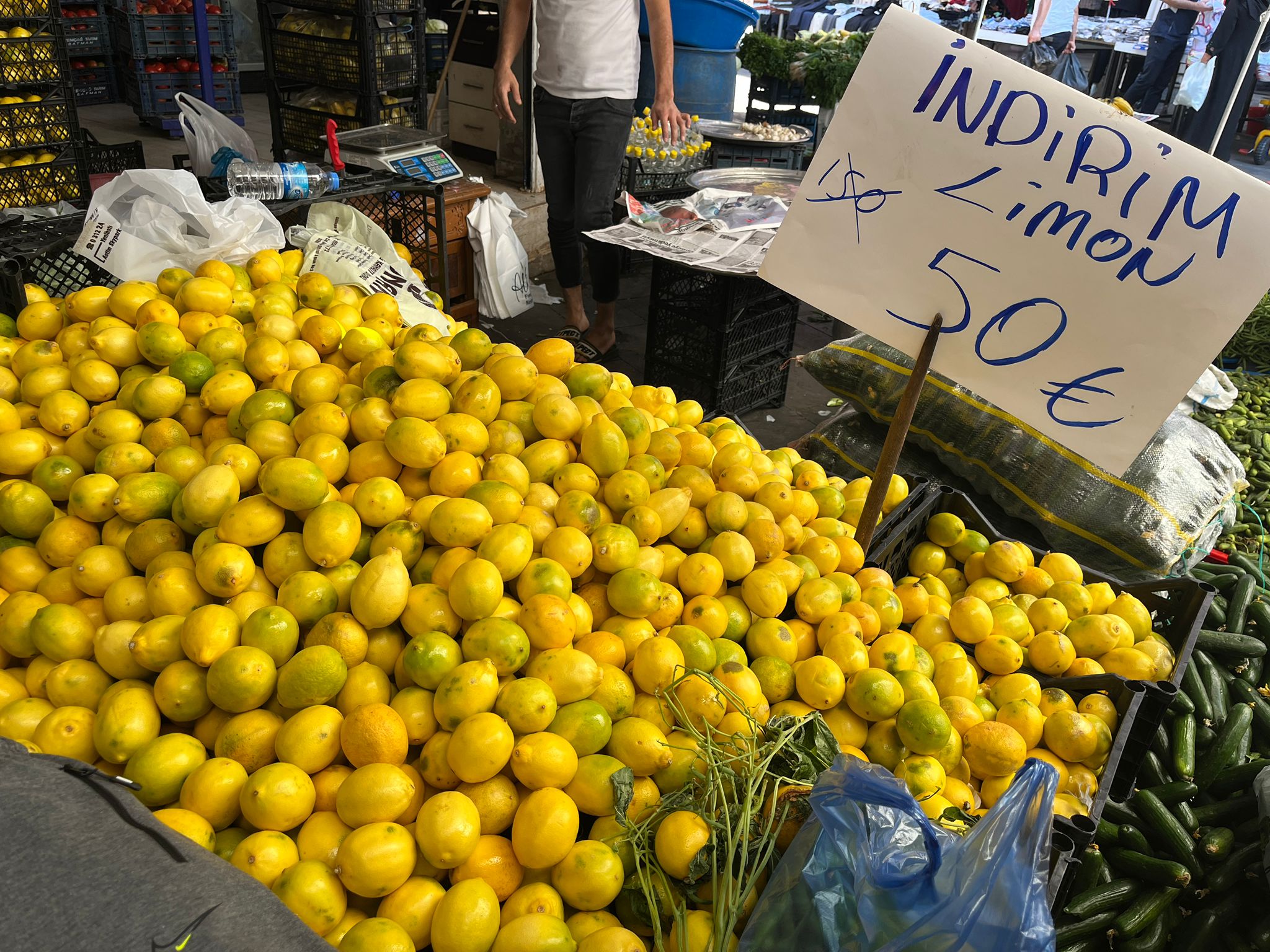 Limon Fiyatları Büyük Düşüş (3)